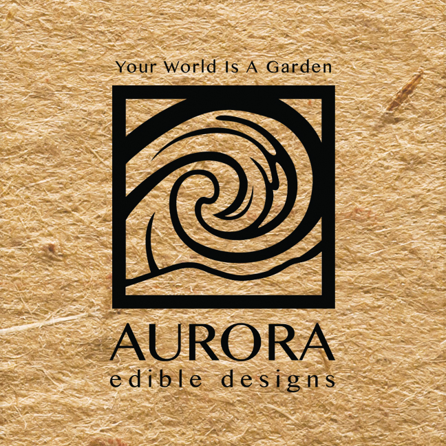 Aurora3.jpg