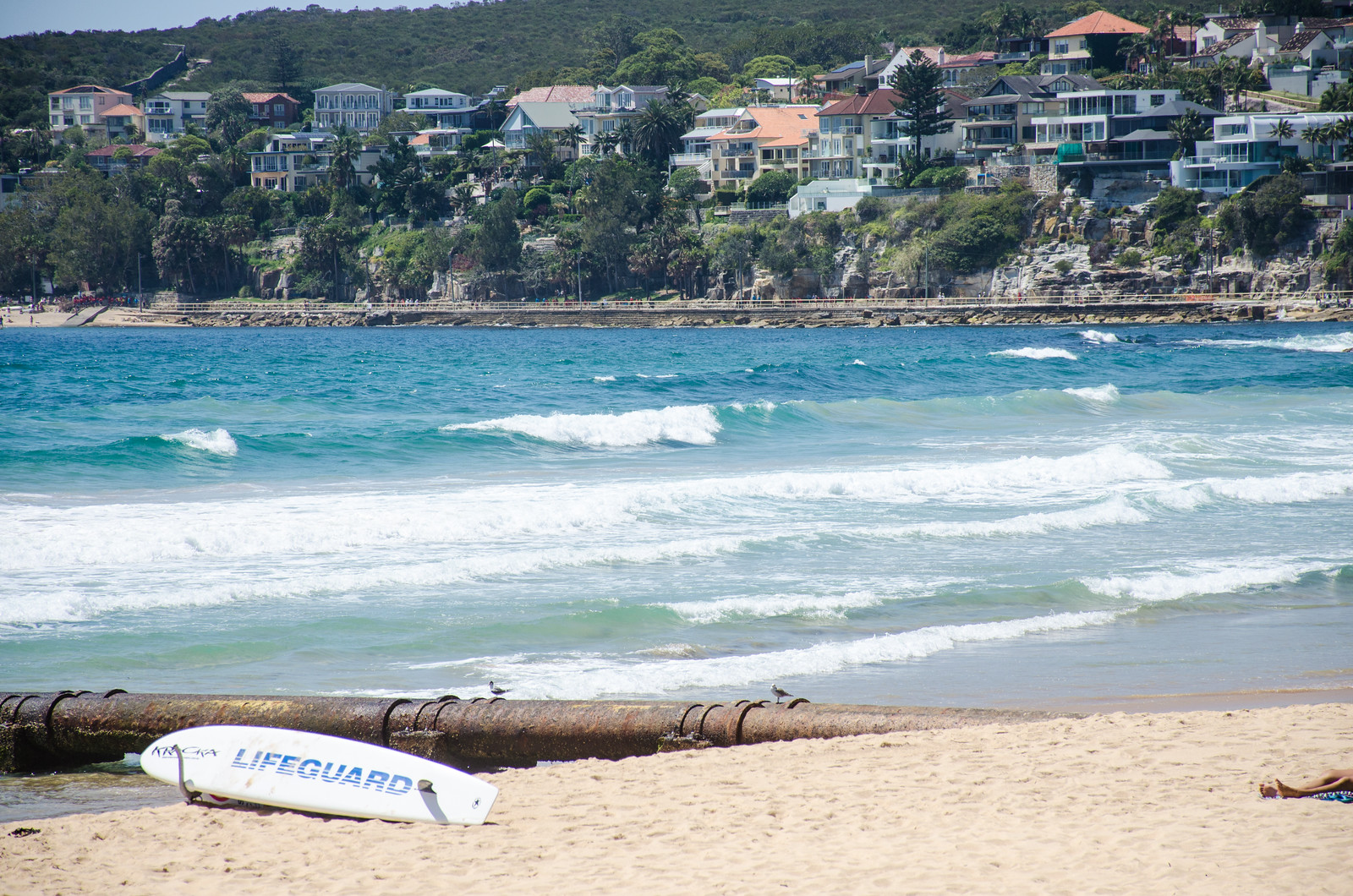 The view from The Pantry Manly