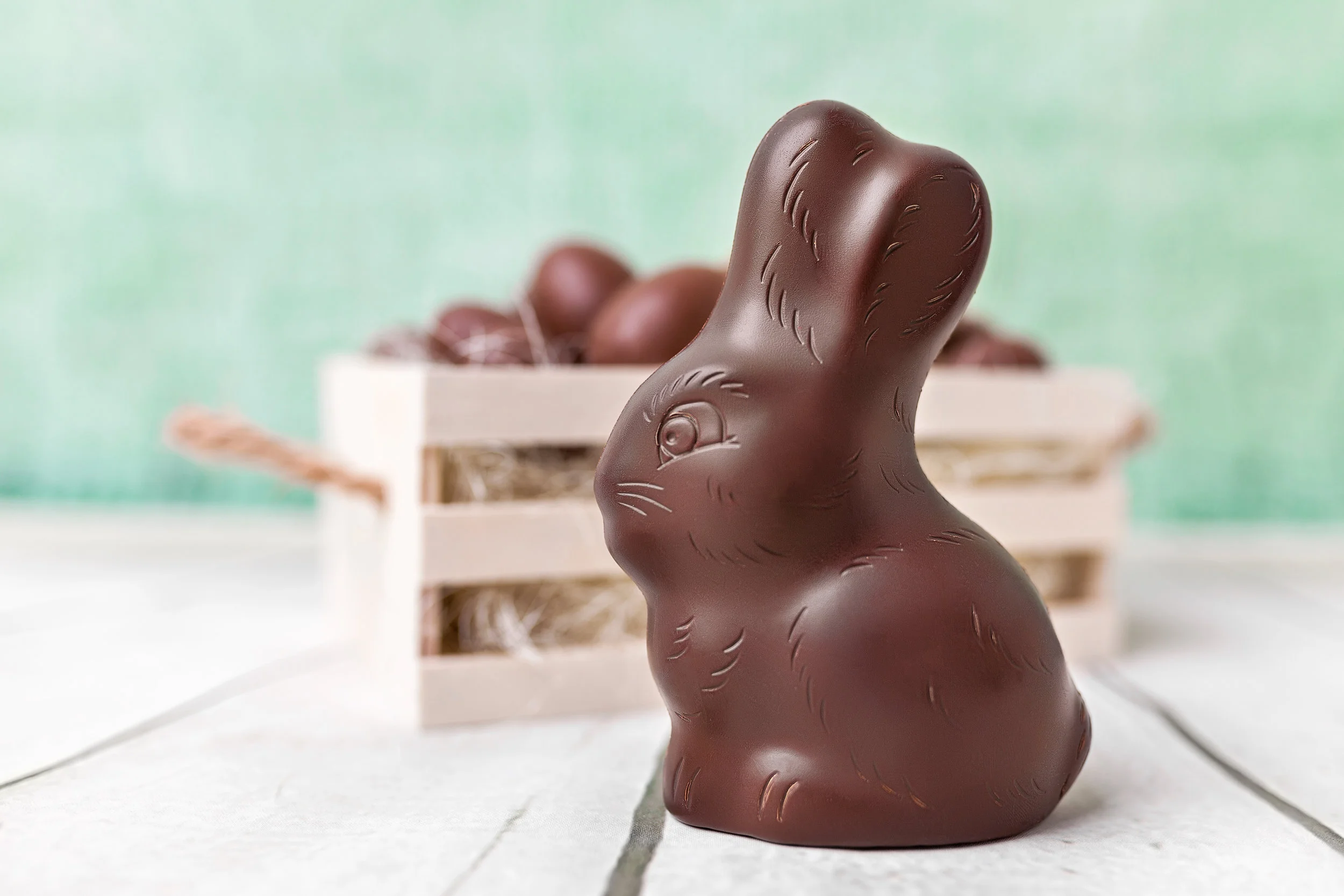 photodune-21566423-chocolate-easter-bunny-and-eggs-in-a-basket-xl.jpg