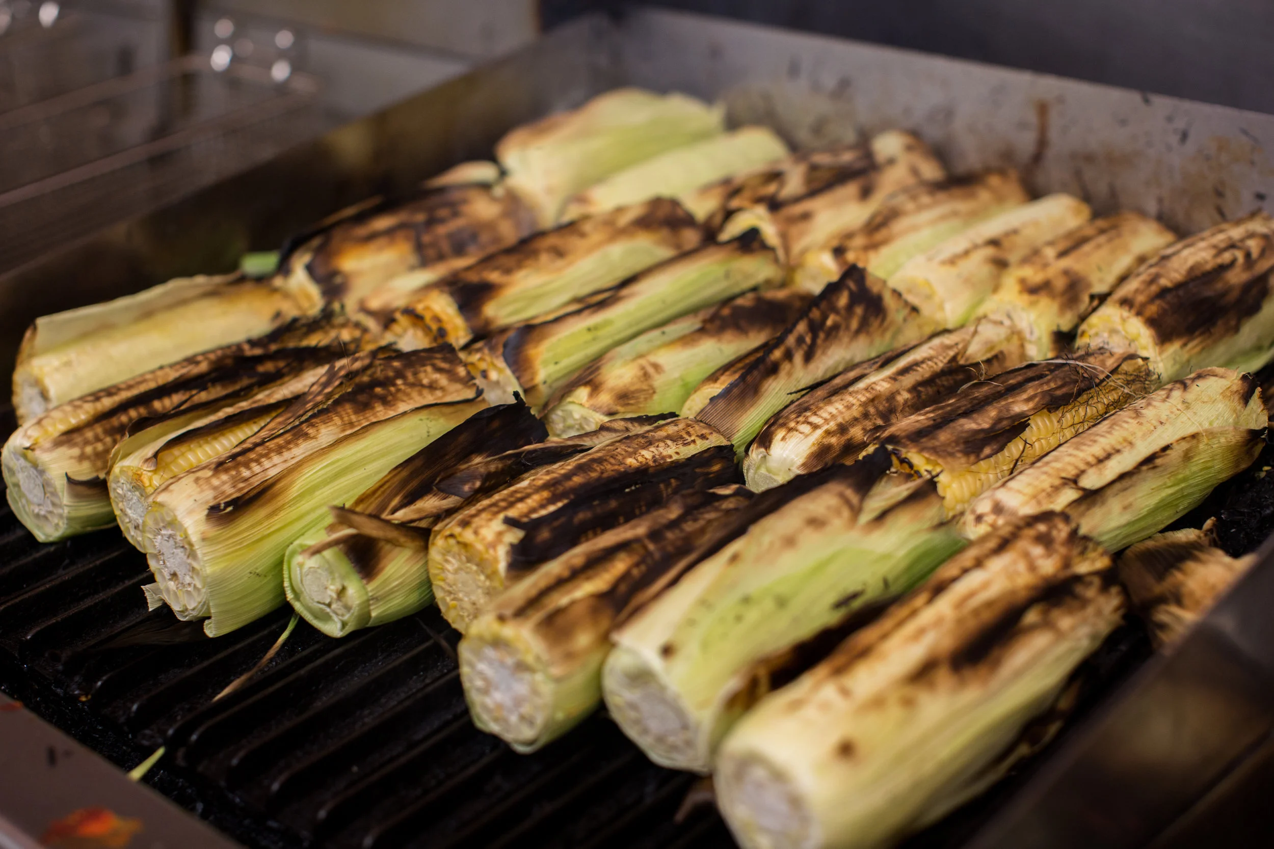 2016 1006 Elote - 097.jpg