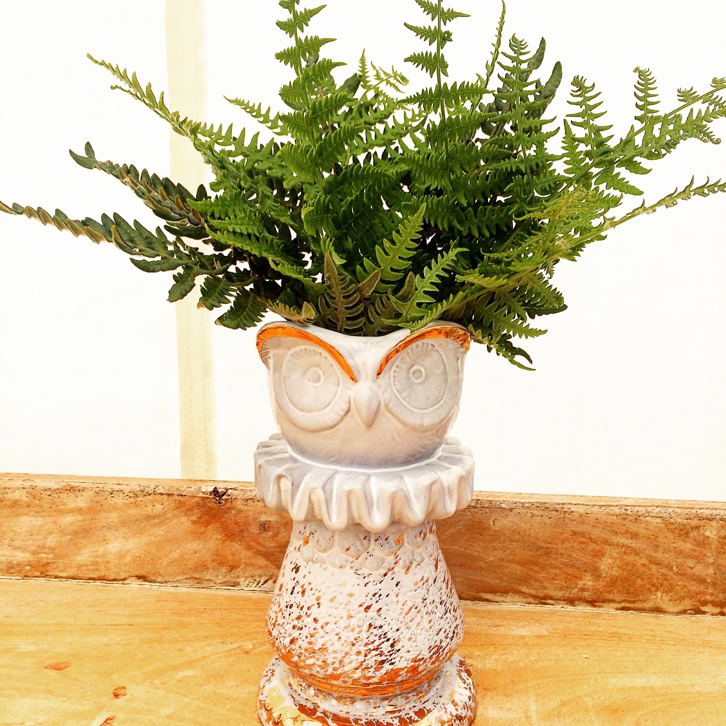 Terra Glamping Event Decor