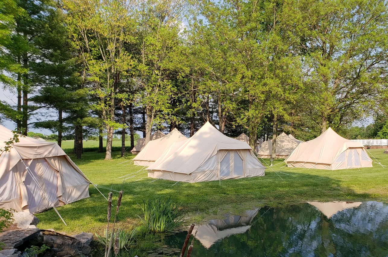 zeltstangen fiberglas 8 mm GSJNHY Vordachstangen Set Ersatz-Zeltstange, mm, Aluminium-Zeltstange, 3,6 m, 4 m, 4,4 m, Outdoor-Camping, Fiberglas-Zeltrahmen, Reparaturzubehör(4 Crates 颜色:Khaki KLICKfix Aventour Pro Lenkertasche