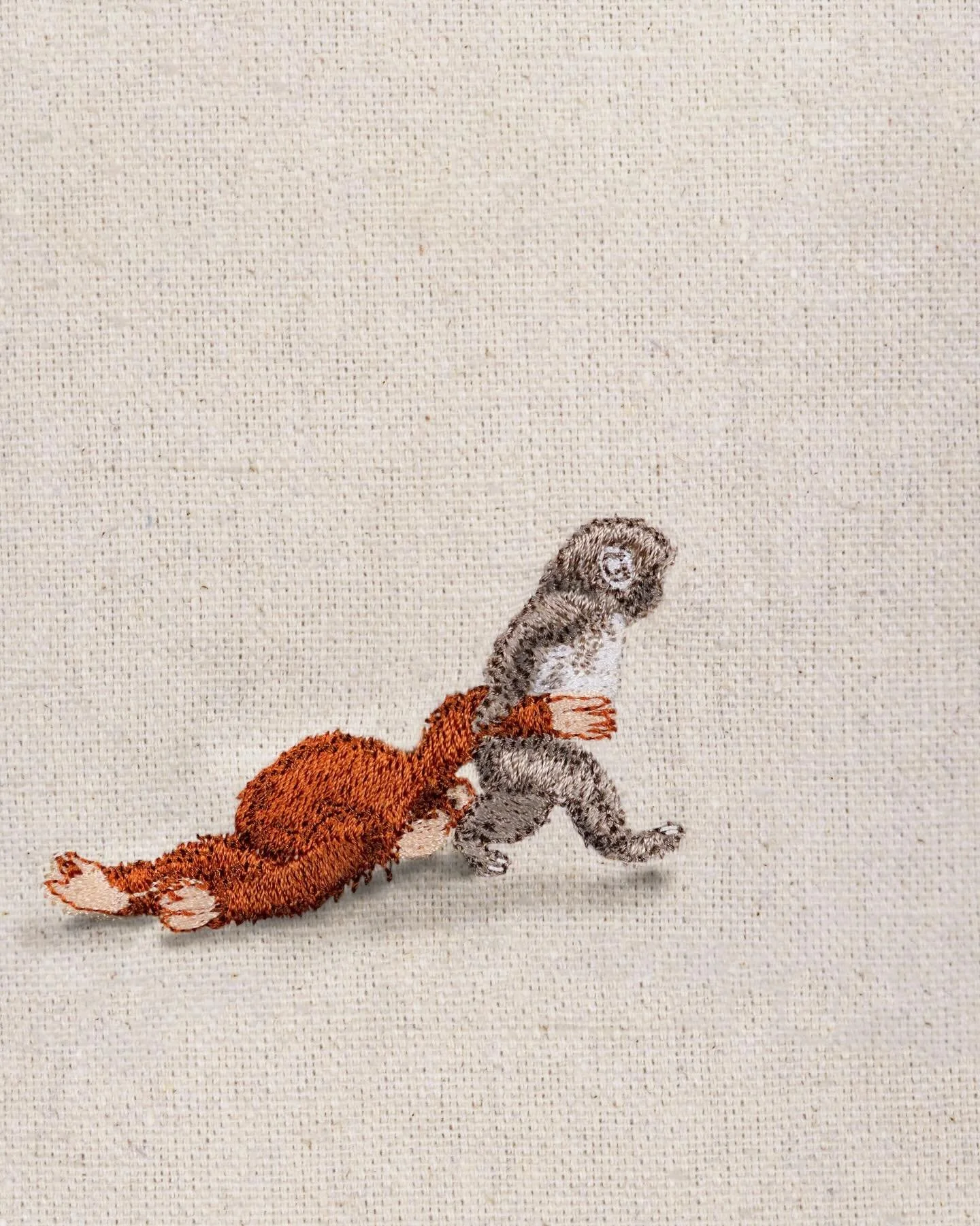 HAS PUNCH STOLEN YOUR HEART YET 🥹??? my entire feed is this tiny monkey (and various innuendos involving the phrase &ldquo;Wuthering Heights&rdquo; lol should I do a roundup)

He&rsquo;s so little :( and just wants to be loved :(

(But there is hope