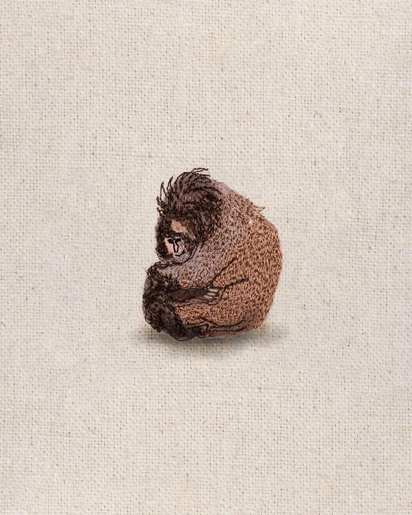 Couldn&rsquo;t let Punch be sad and alone on my grid for ONE SECOND MORE!!! Because our baby boy is getting MONKEY HUGS!!! WE DID IT JOE!! 🥹🥹🥹🥹

Swipe through for an endorphin-boosting update on my last post to remind us all that things can alway