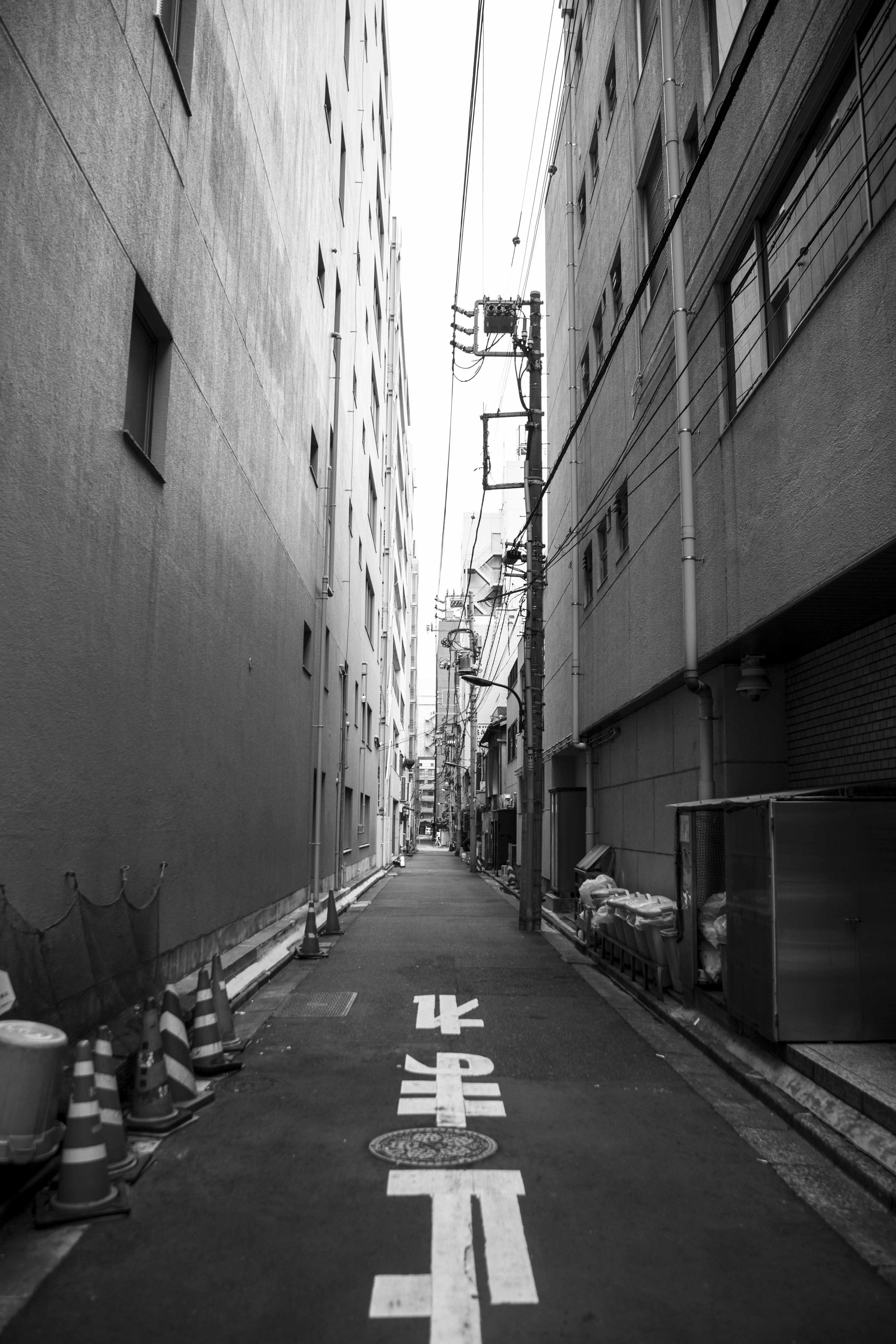 Guided Alleys 