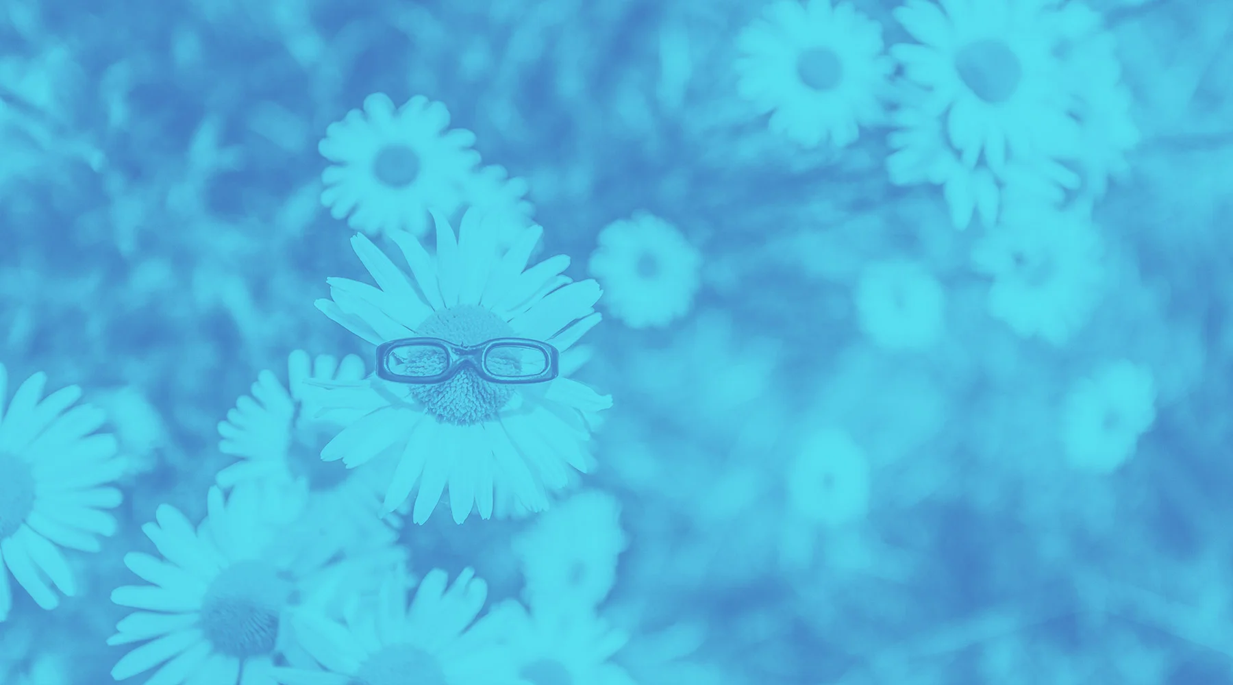 header-2.jpg