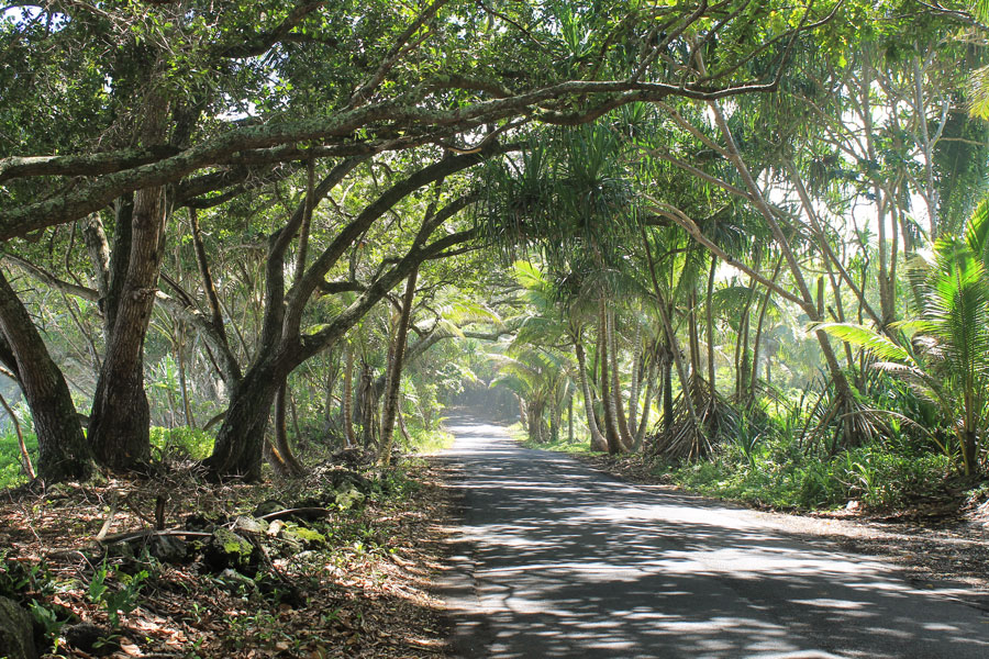 red-road-coastline-02-hawaii-adventure-uncleianshawaii.jpg