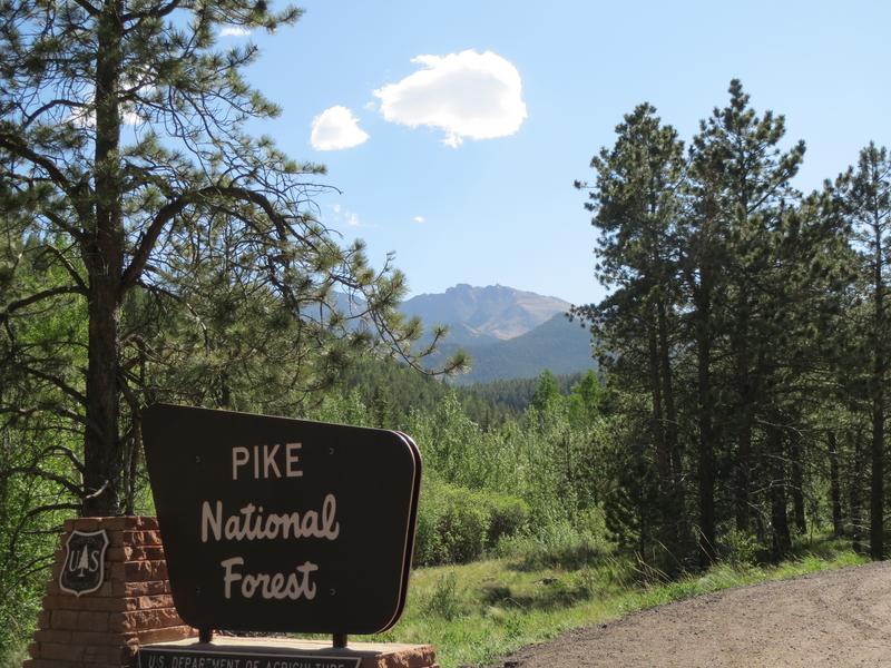 Pike-National-Forest.jpg