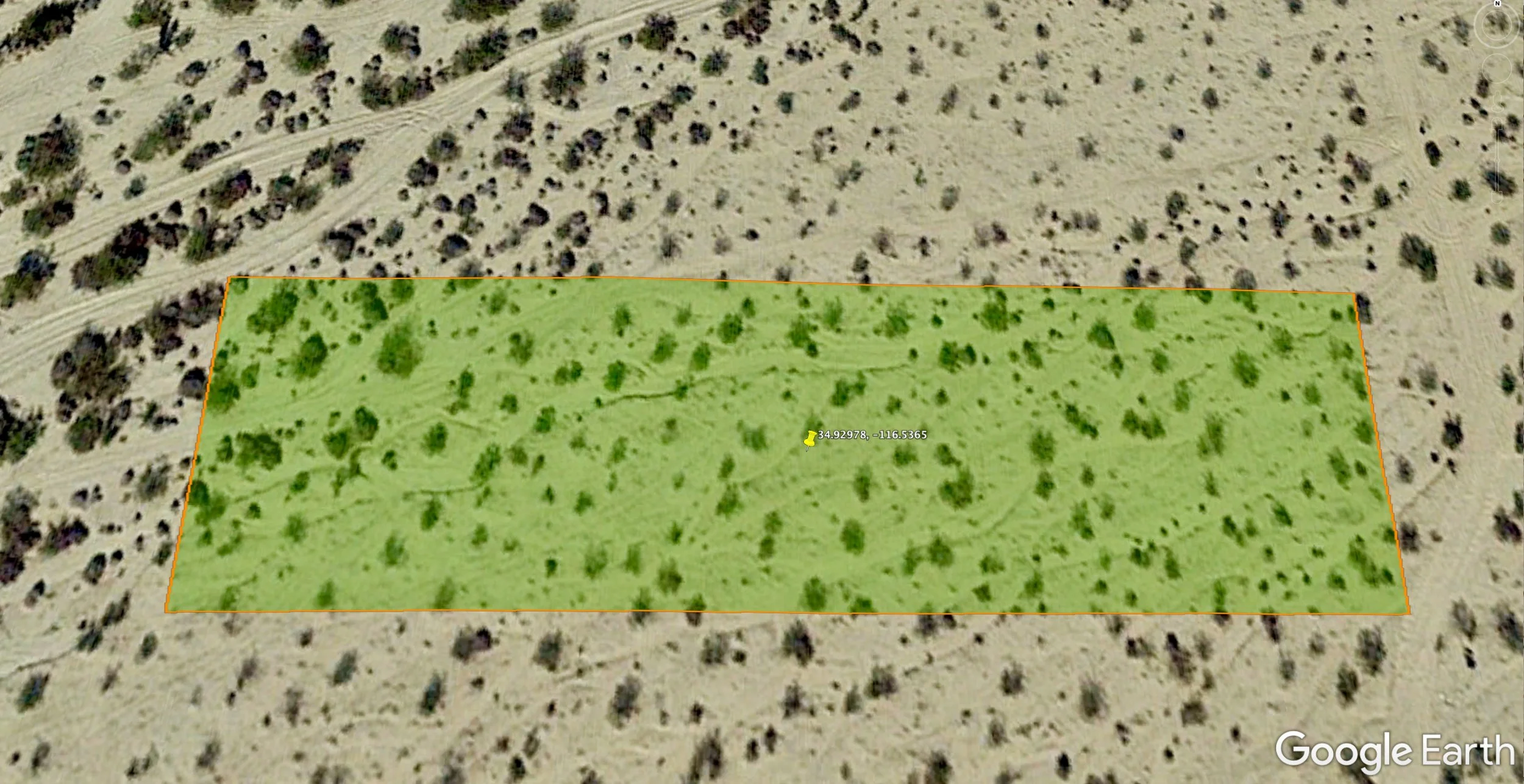 fullsizeoutput_1d8e.jpeg