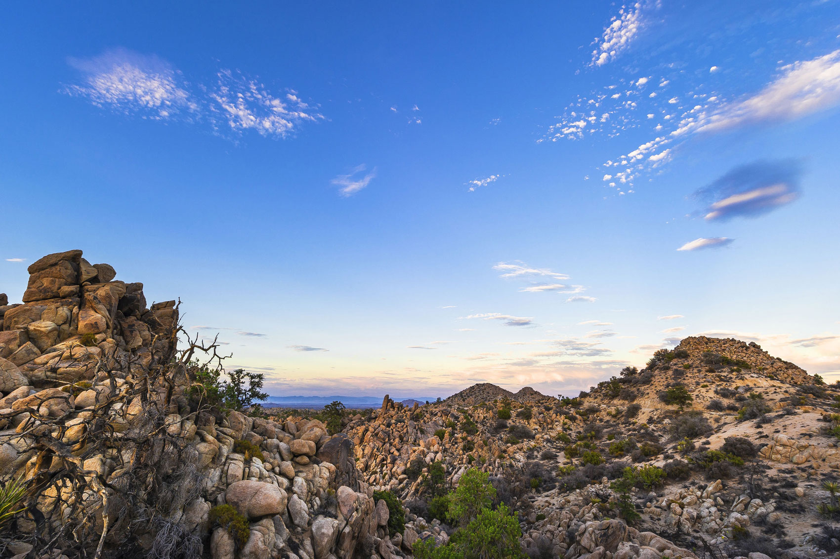 twentynine palms 3.jpg