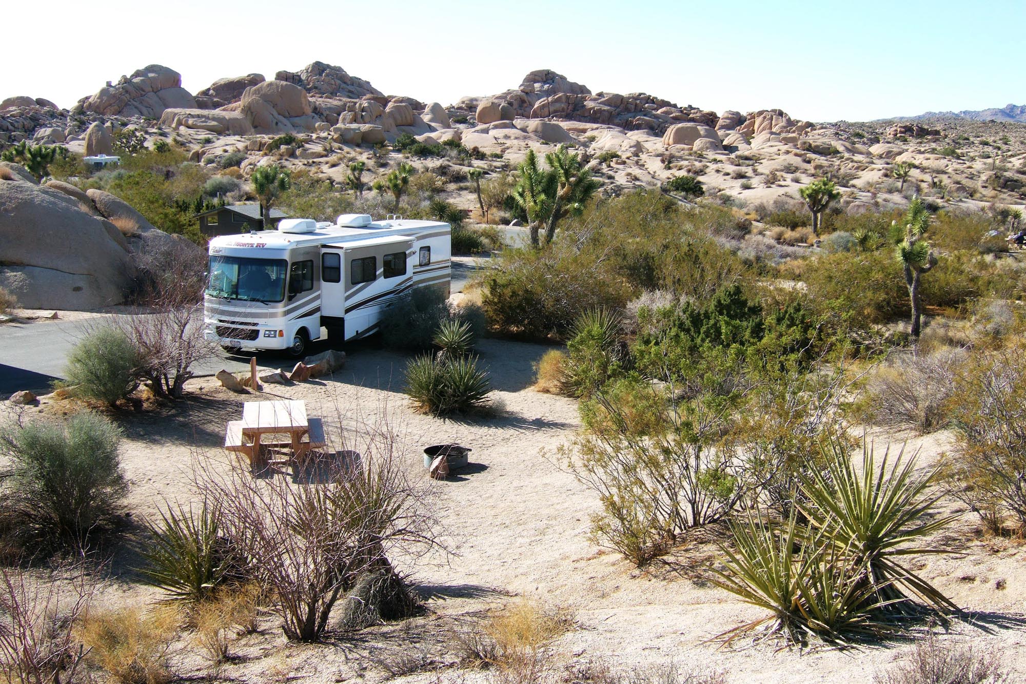 joshua-tree-national-park (1).jpg