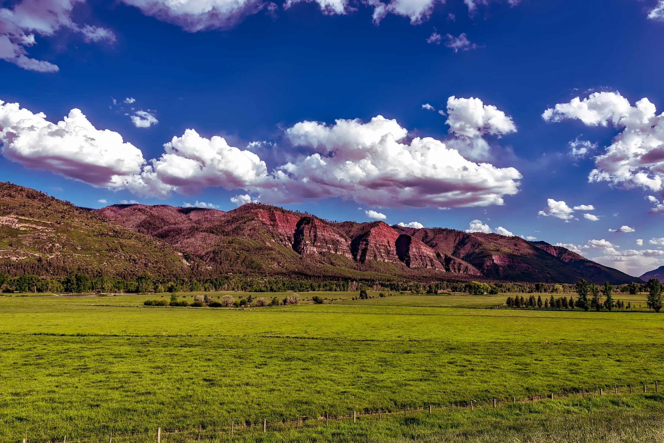 PDcolorado1.jpg