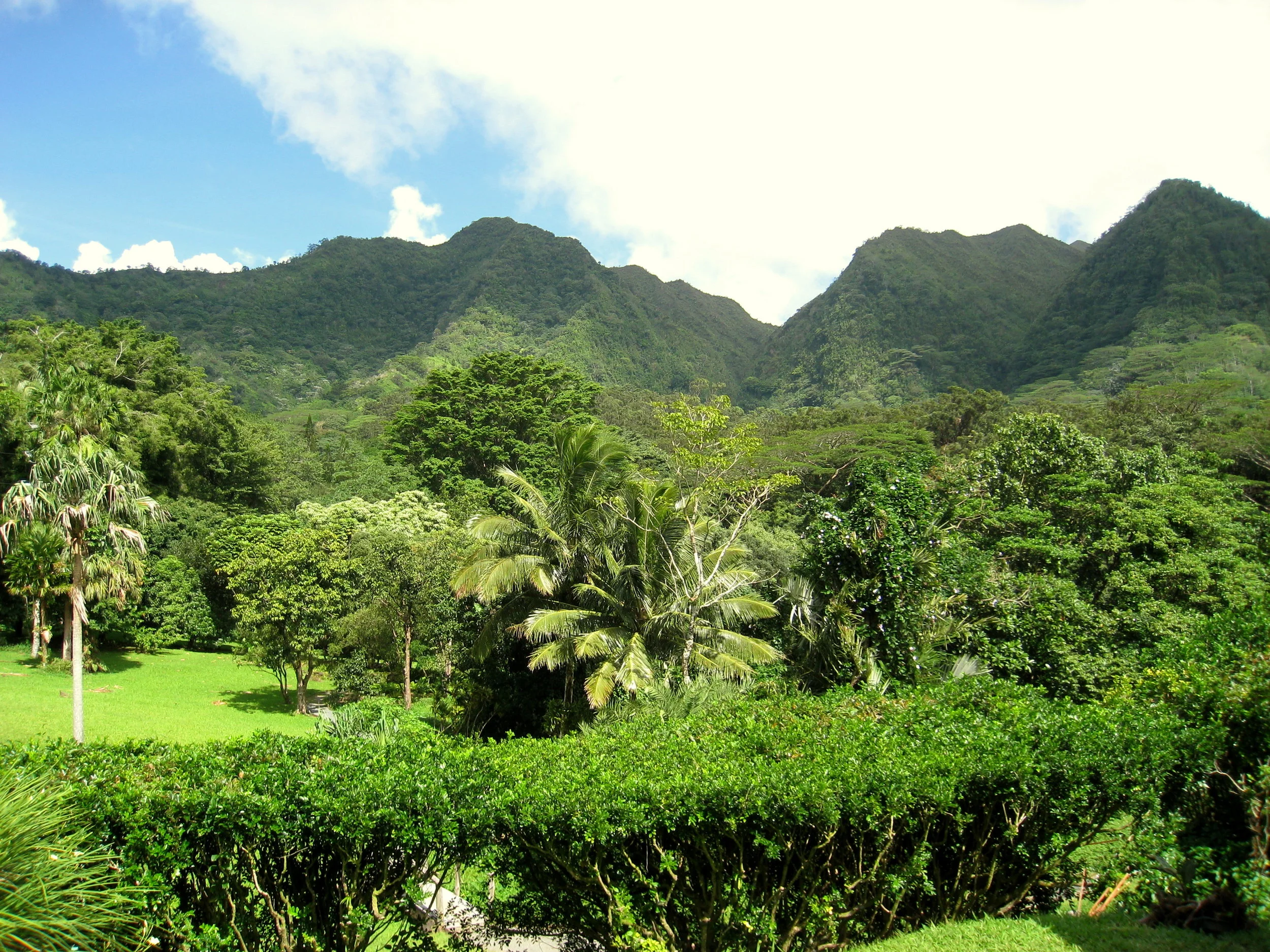 hawaii landsafe1.jpg