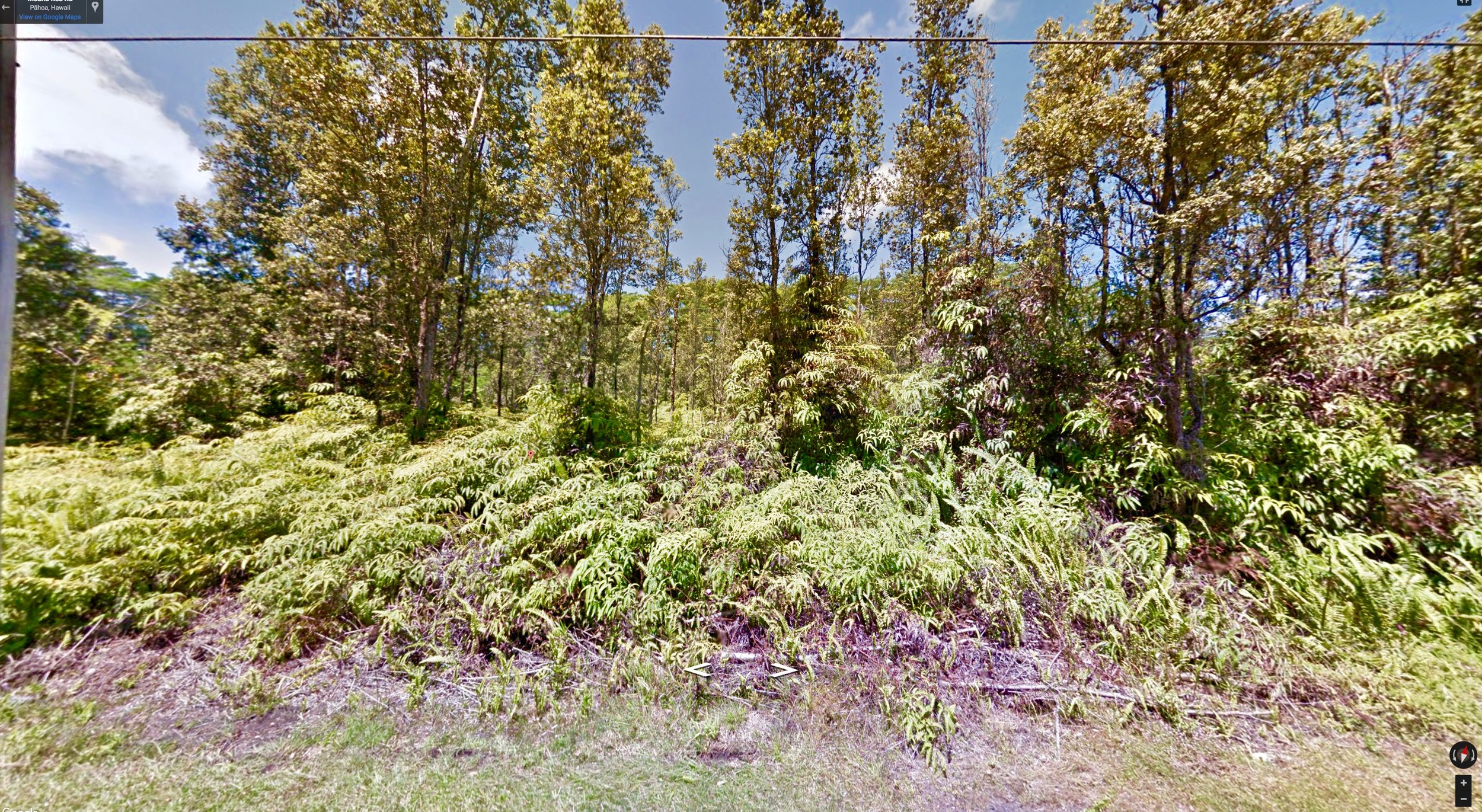 fullsizeoutput_281c.jpeg