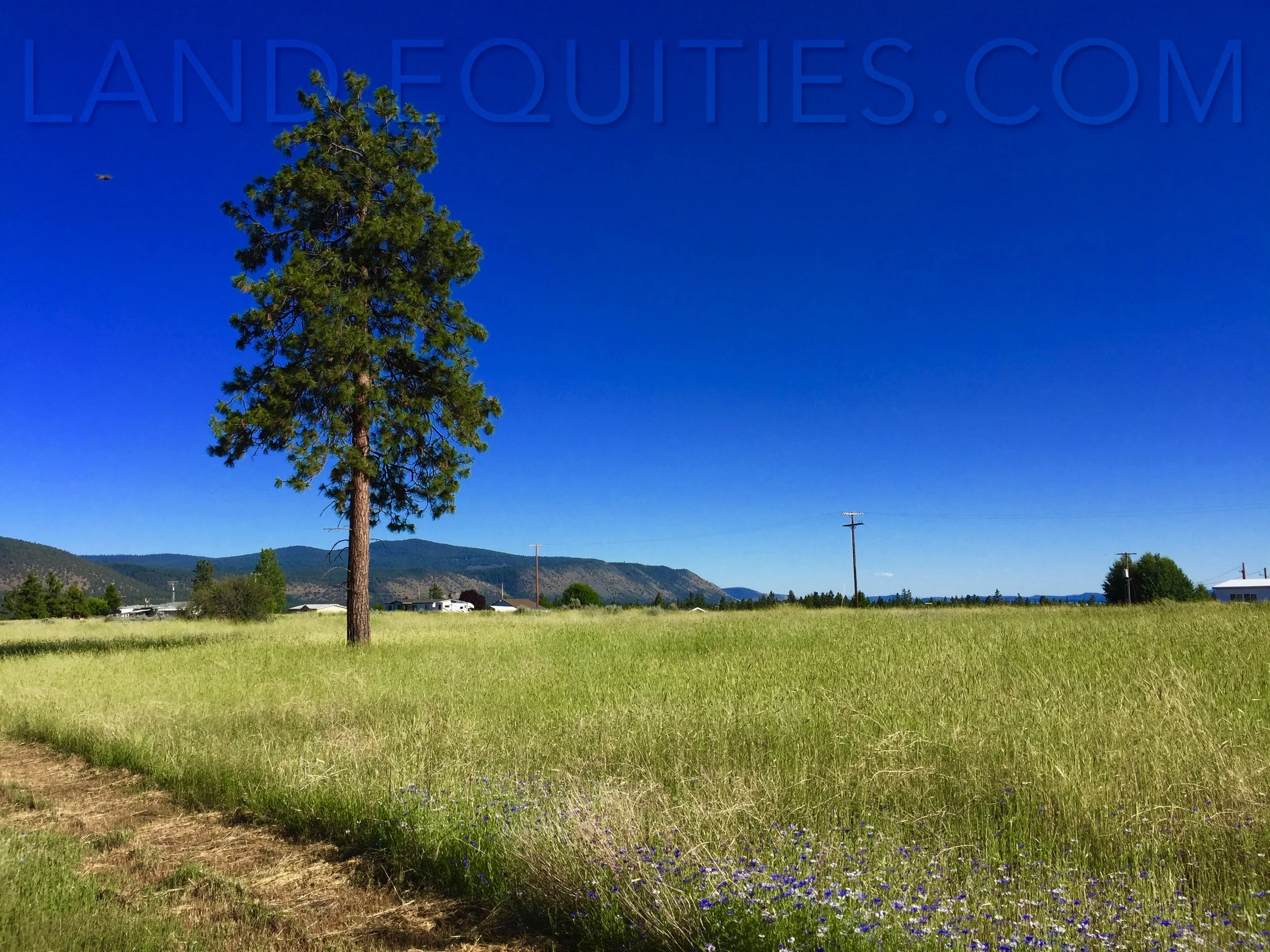 Klamath Trip-339.jpg
