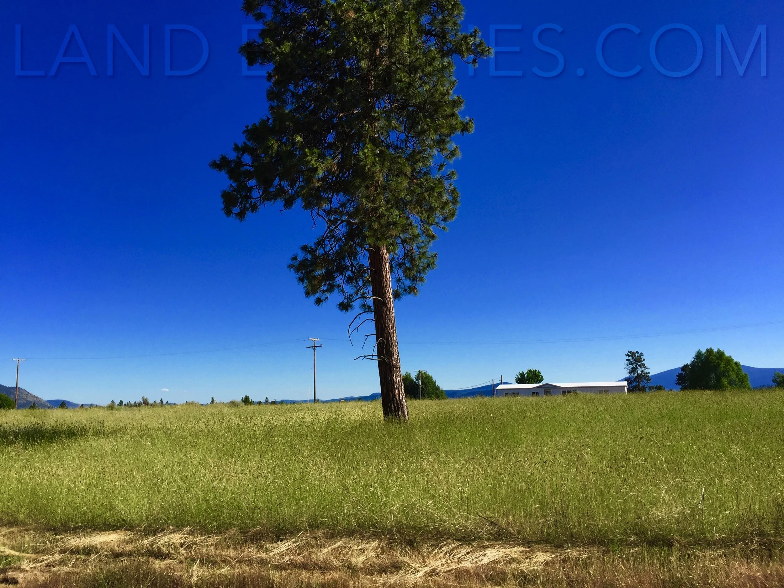 Klamath Trip-347.jpg