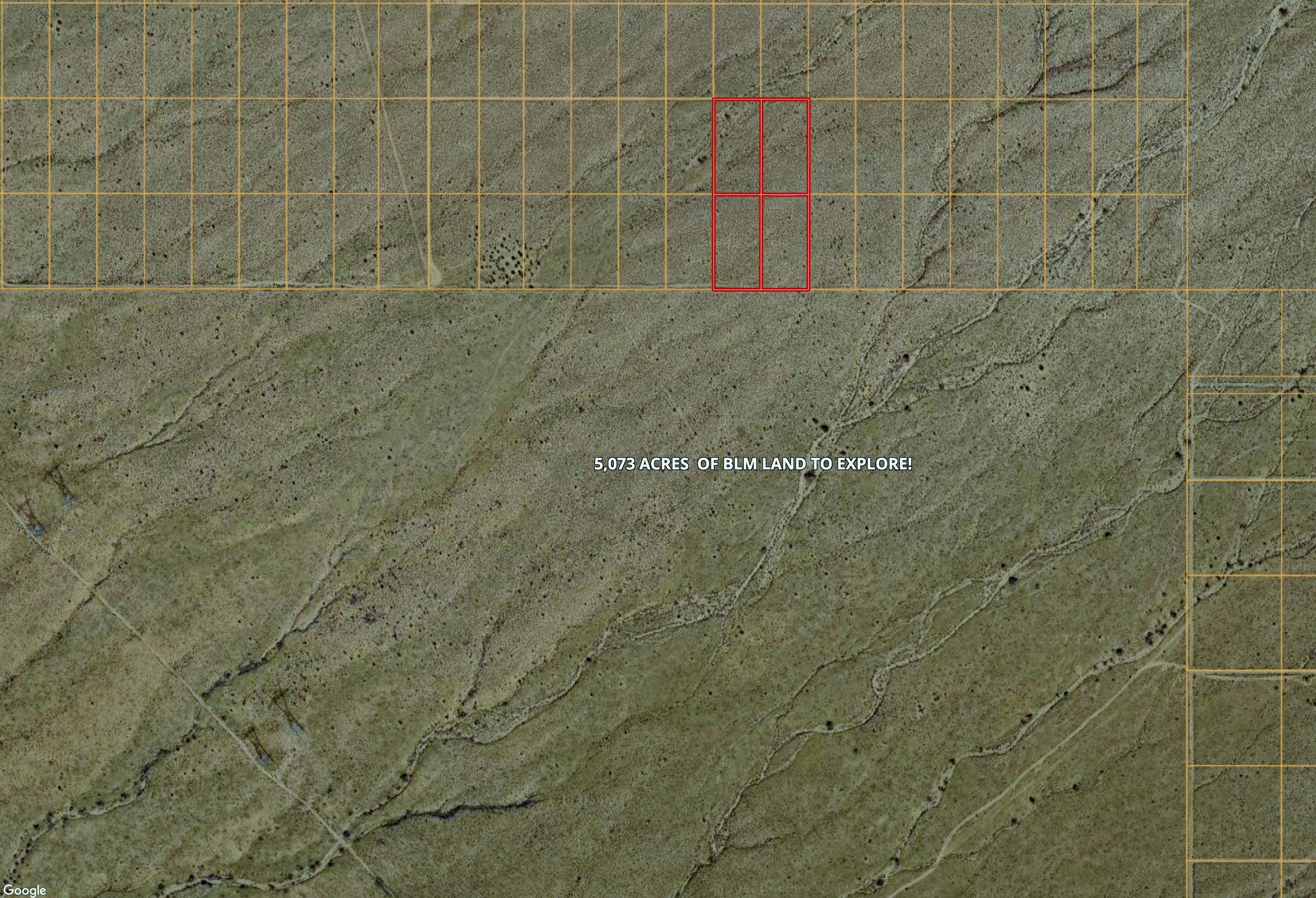 fullsizeoutput_4189.jpeg