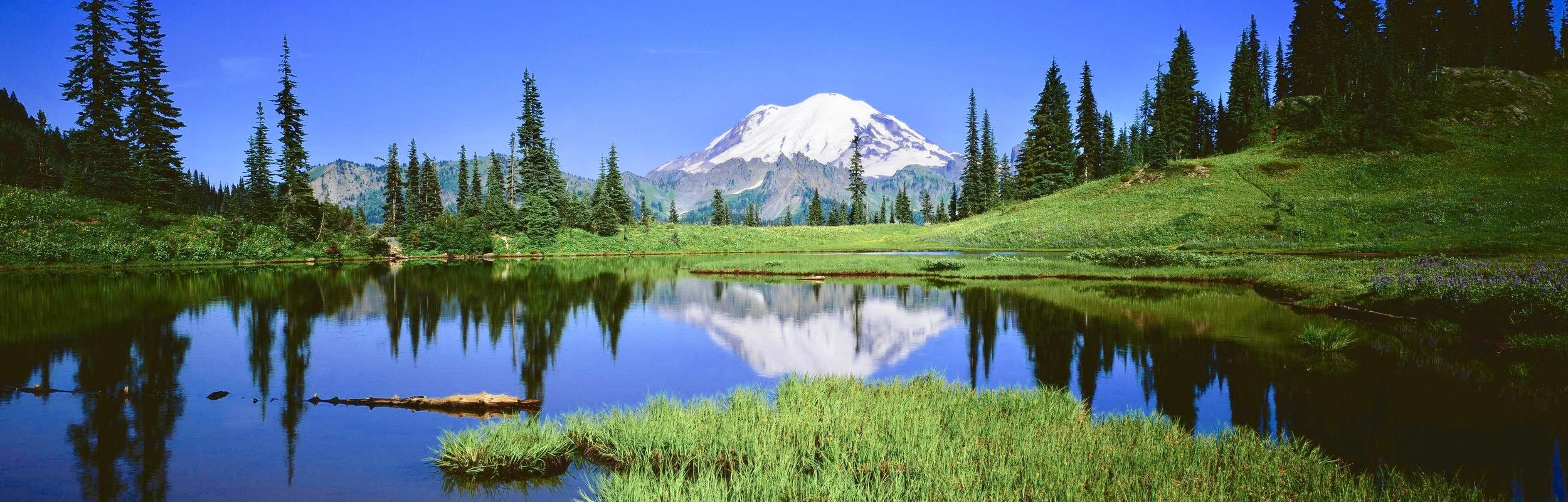 Oregon Land For Sale Great Prices Financing Available — LAND EQUITIES