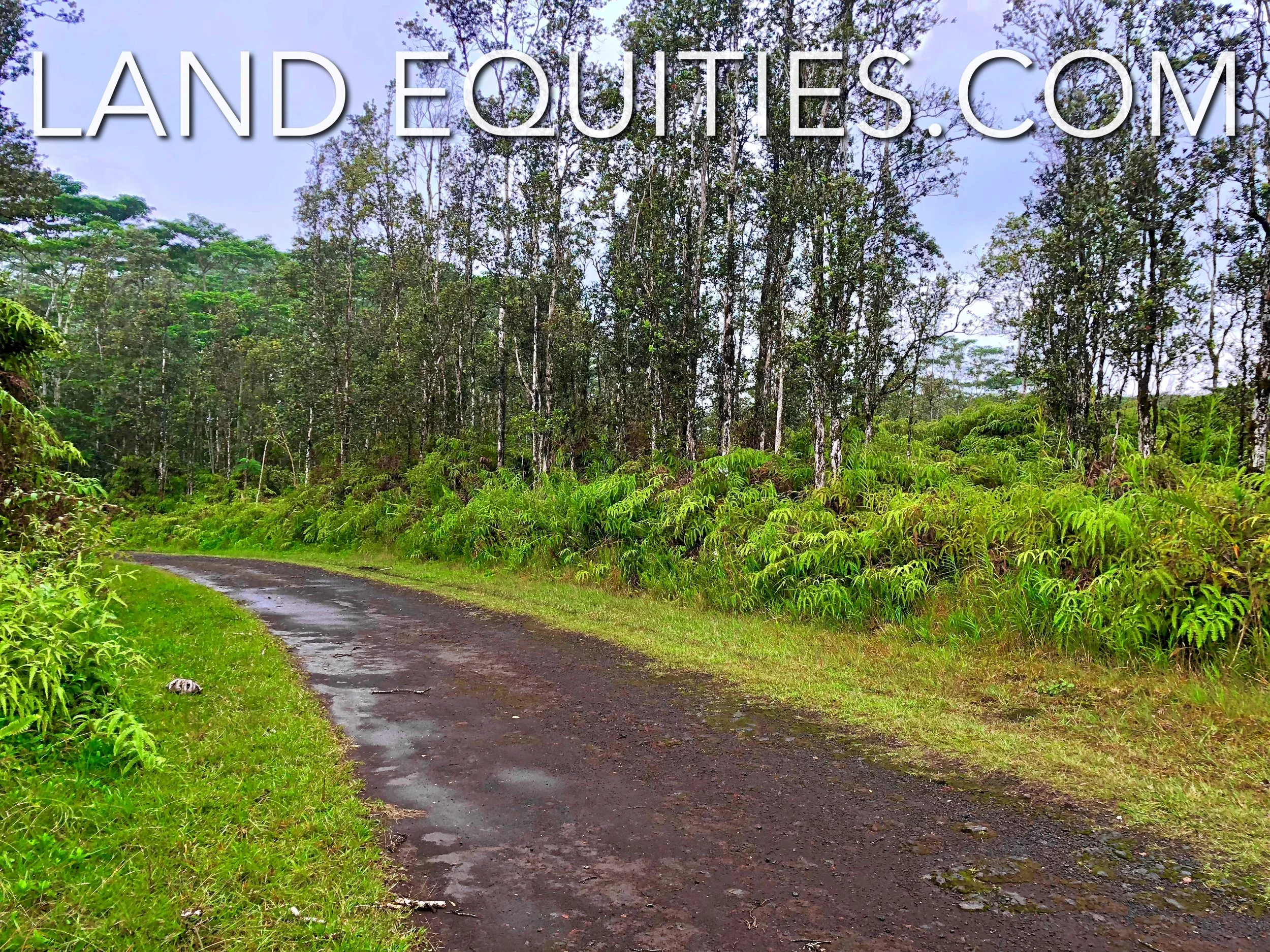 Cheap Hawaii Land For Sale Financing Available Cash Discounts — LAND EQUITIES