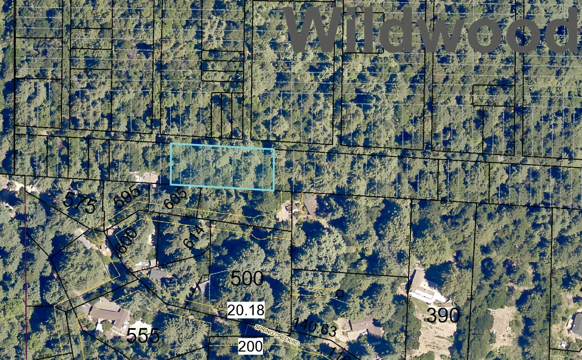 fullsizeoutput_6552.jpeg