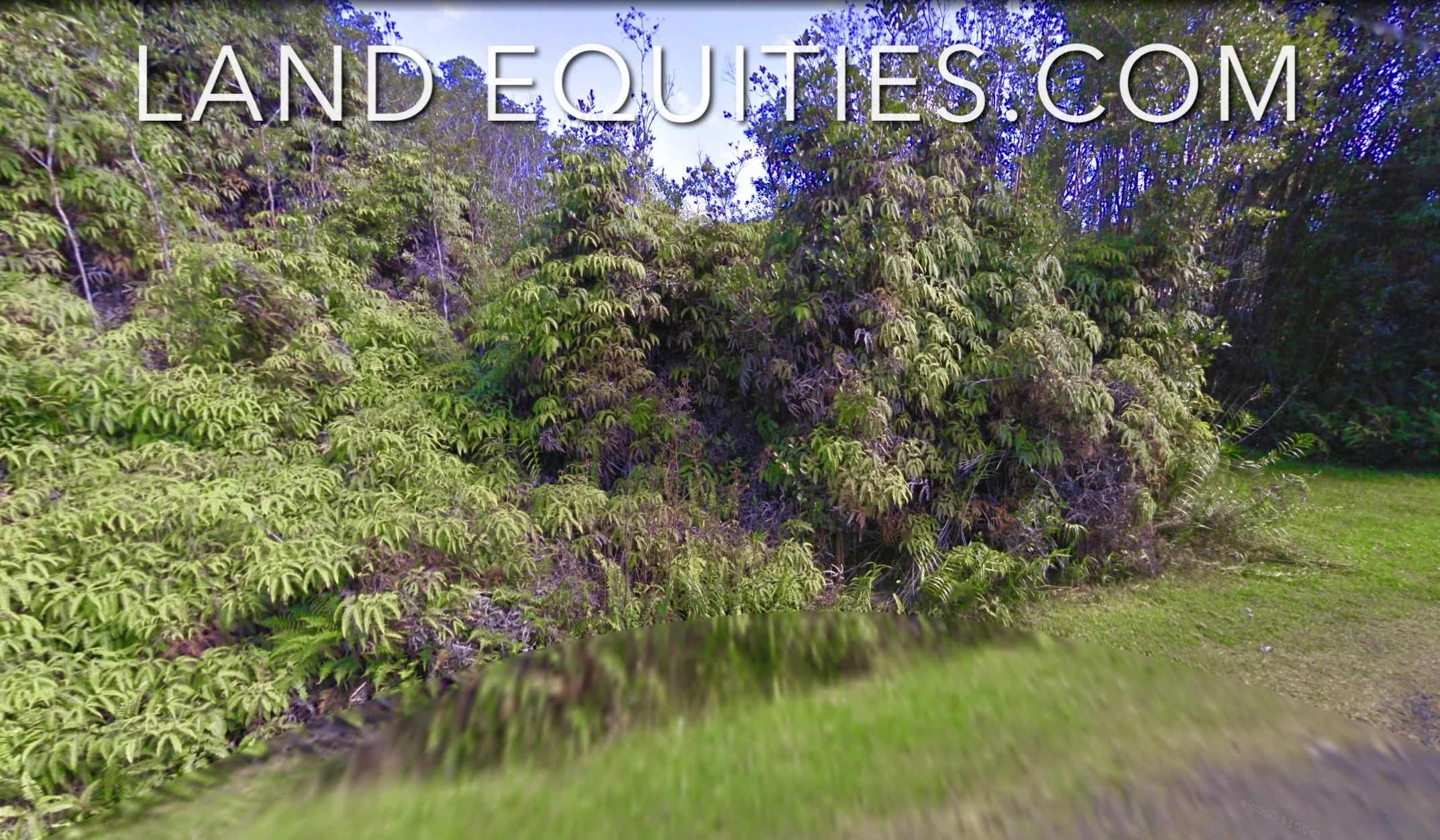 fullsizeoutput_688f.jpeg