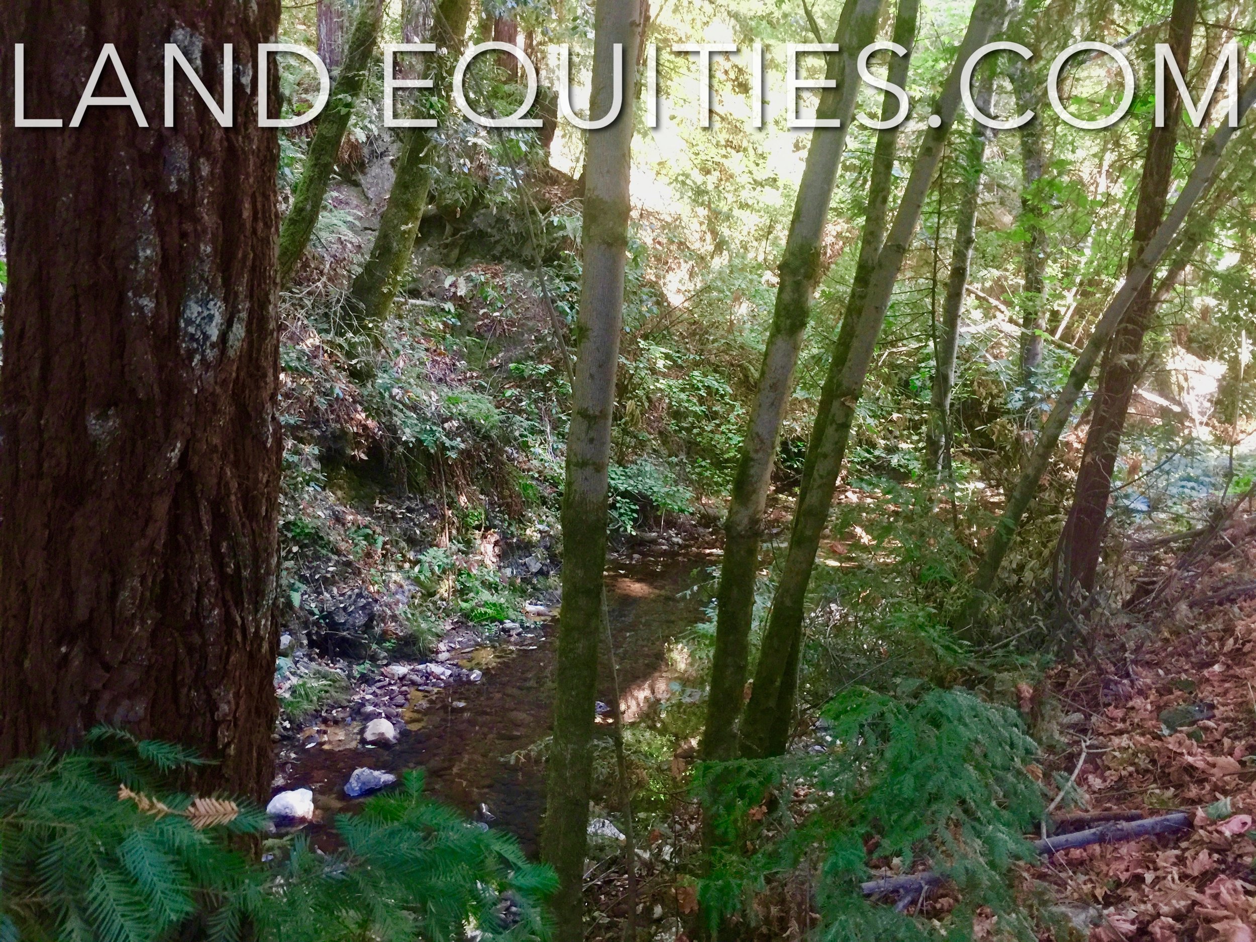 fullsizeoutput_68ac.jpeg
