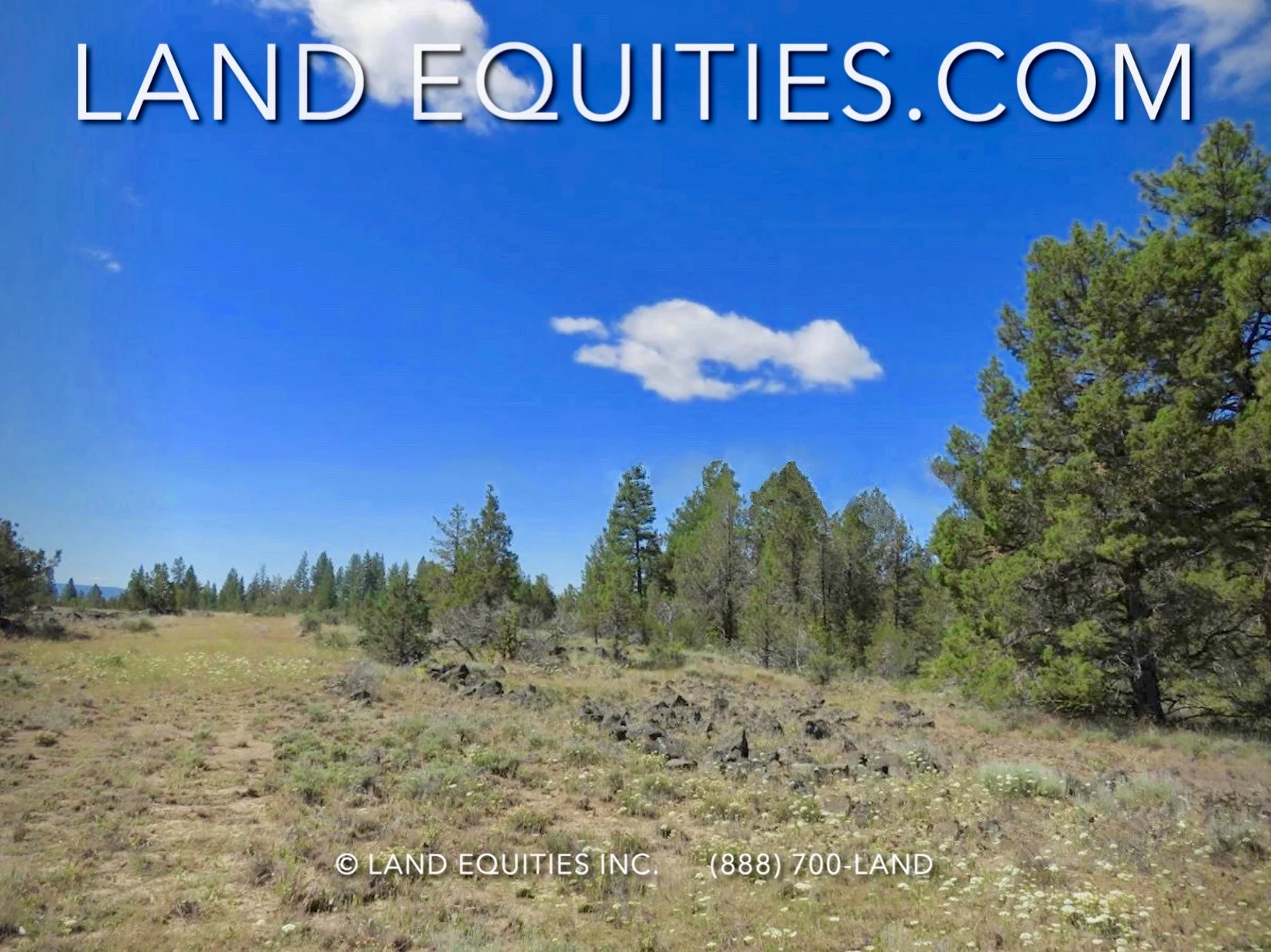 LAND EQUITIES — 1.45 ACRES WITH TREES & SEASONAL CREEK, TERRIL DR