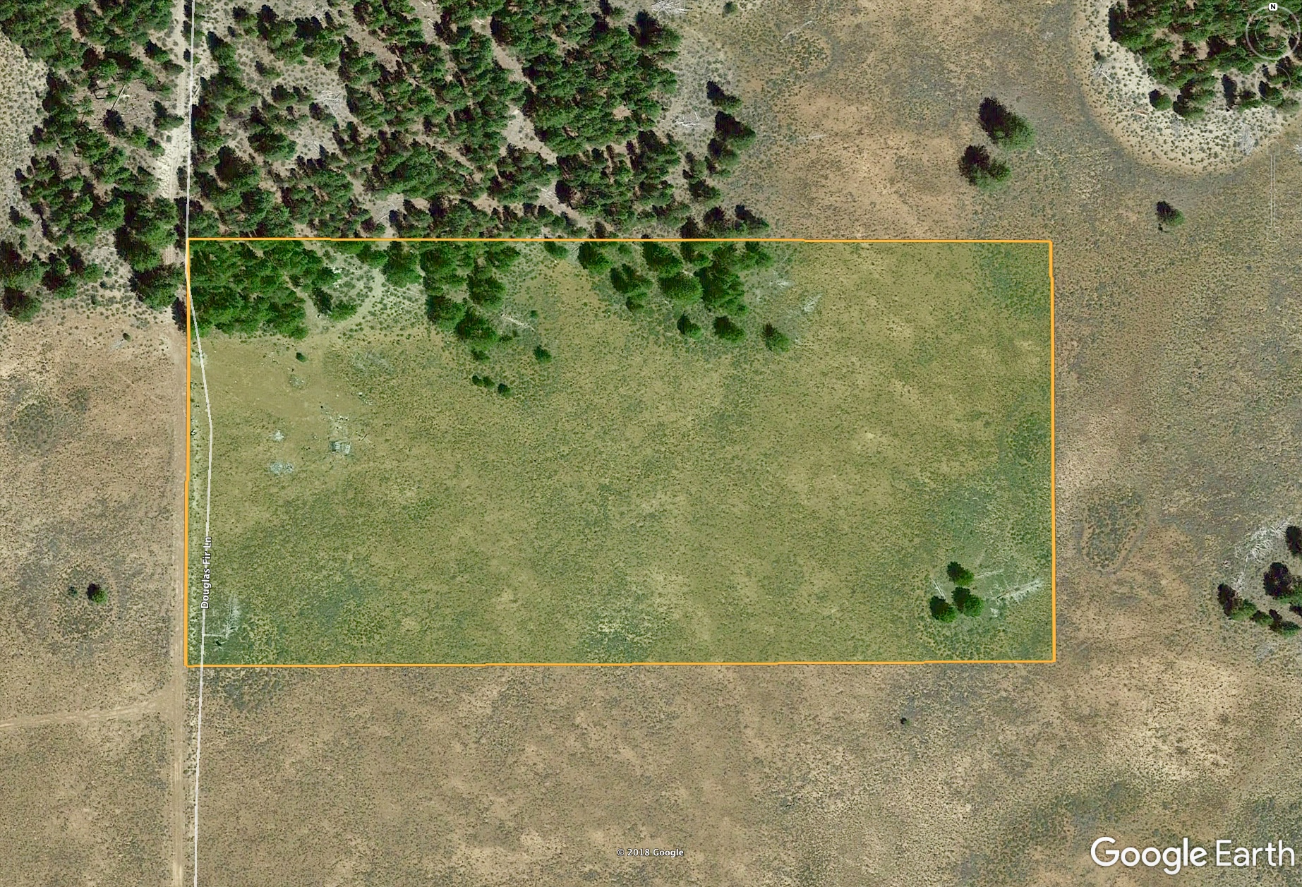 fullsizeoutput_7a23.jpeg