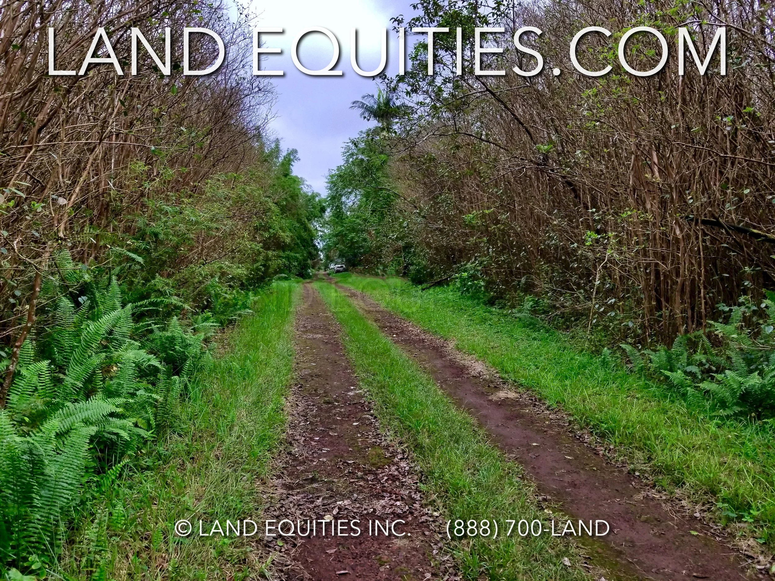 BEAUTIFUL PRIVATE LOT 5 MINUTES TO BLACK IN SAND BEACH,  KAPIOLANI ST. PAHOA, HI