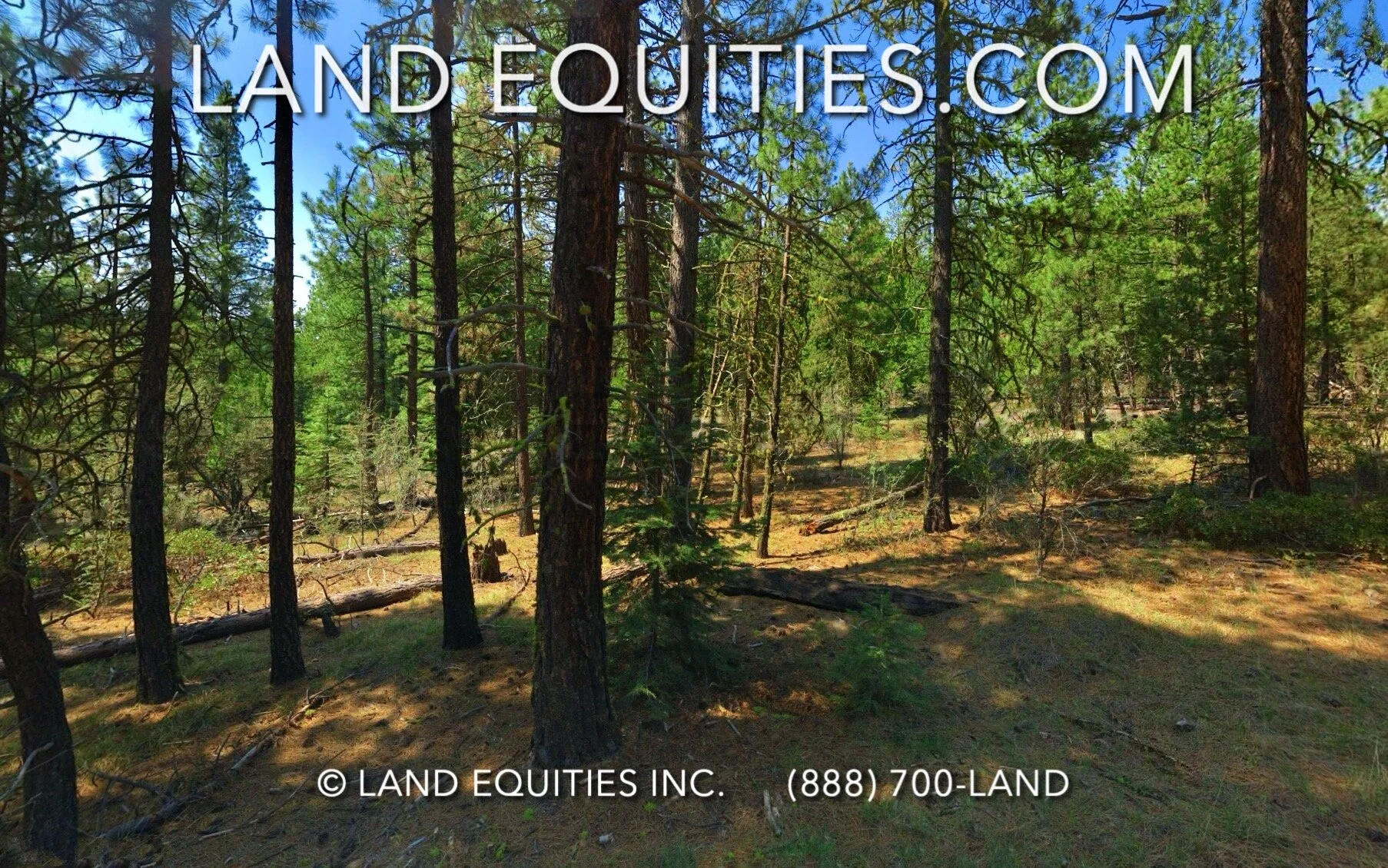 LAND EQUITIES — ESCAPE TO YOUR OWN BEAUTIFUL PRIVATE RETREAT IN THE