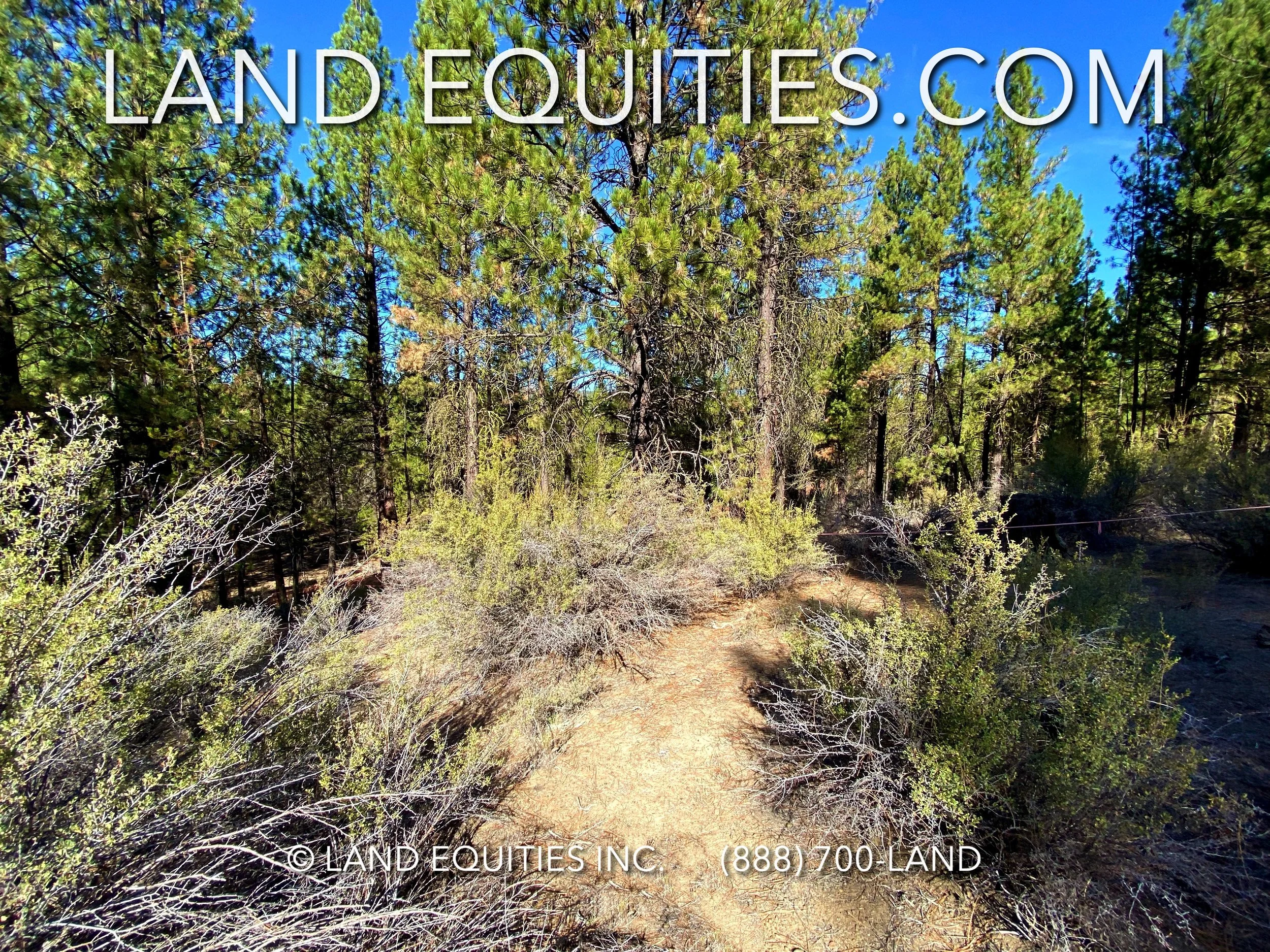 LAND EQUITIES — LOT WITH TREES, POWER, VIEWS & RIVER ACCESS