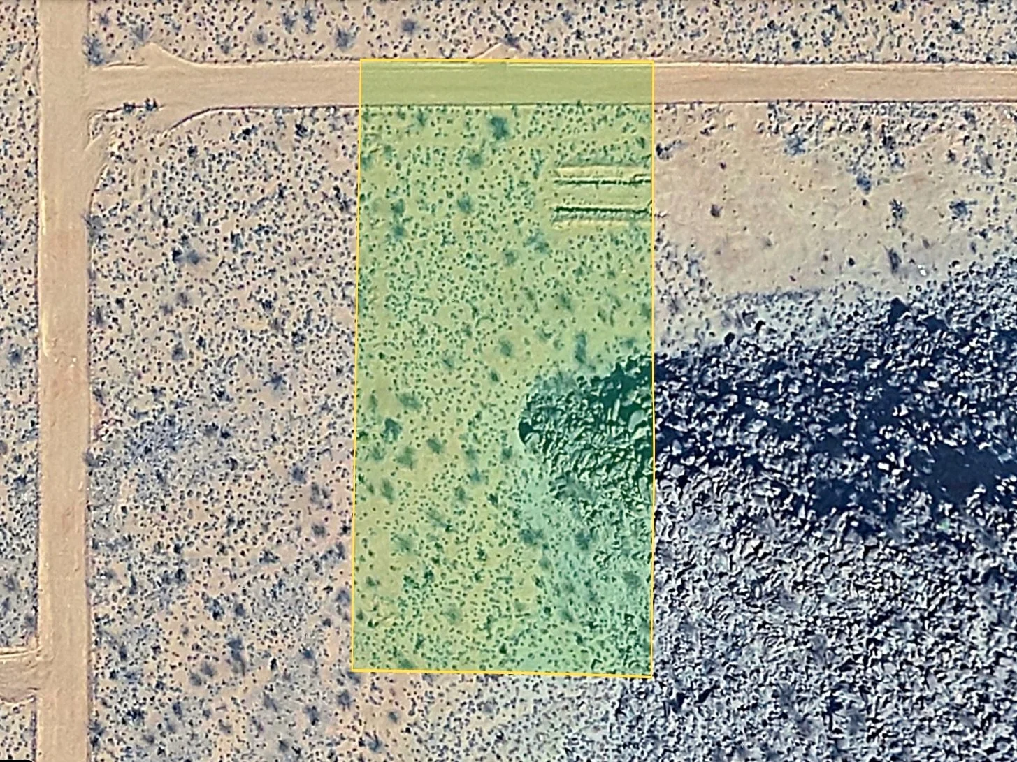 Screenshot 2026-02-05 at 10.22.03 AM.JPG