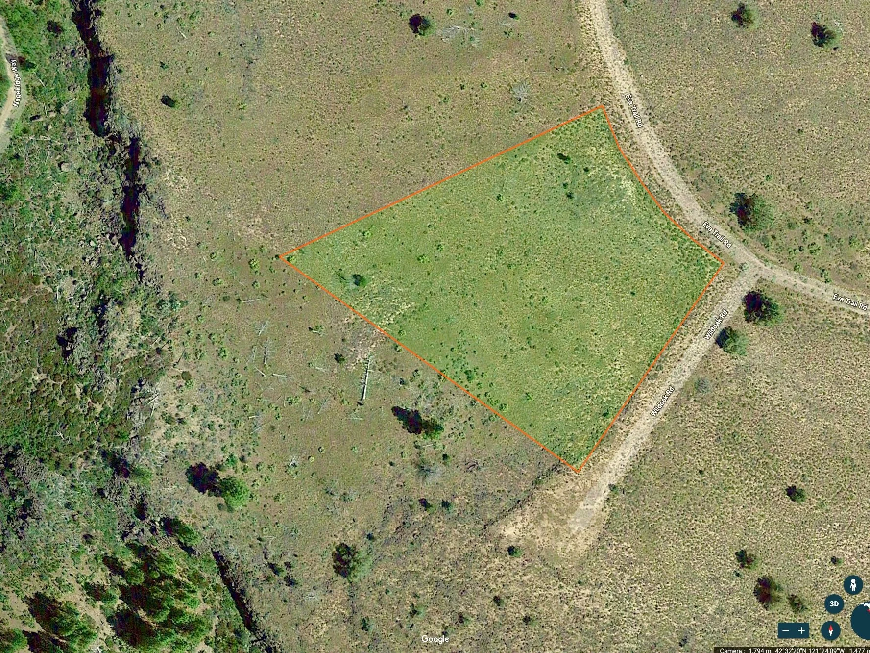 Screen Shot 2019-10-18 at 1.35.33 PM.jpeg