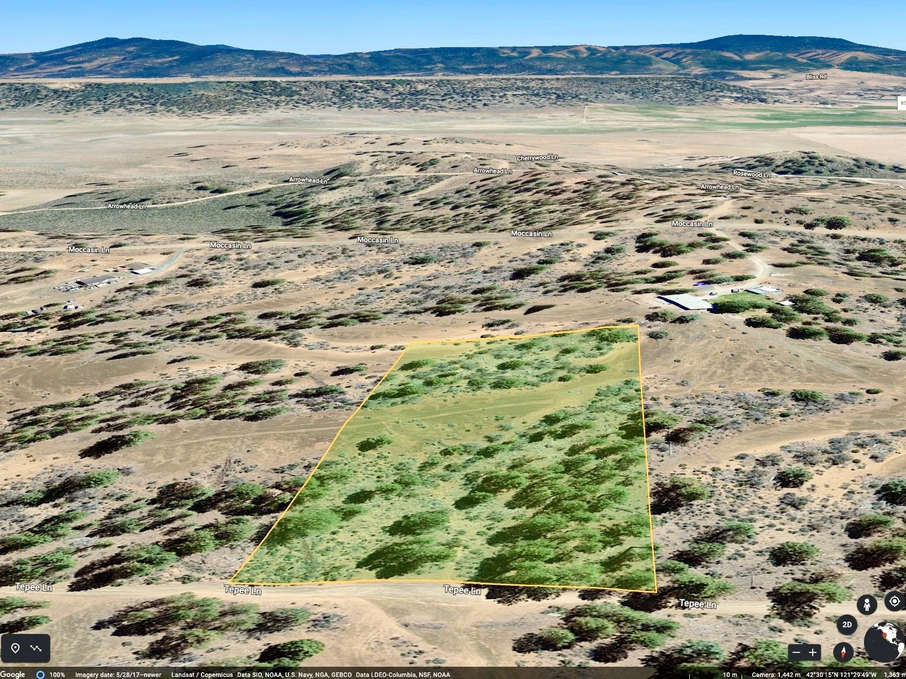 Screenshot 2023-02-22 at 11.25.24 AM.jpg