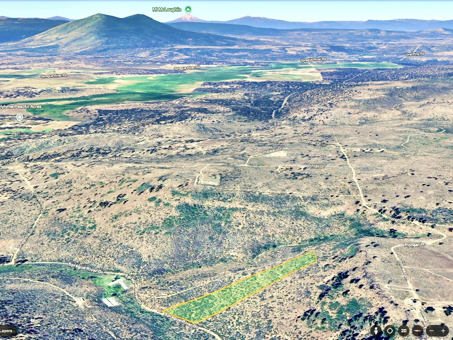 Screenshot 2025-03-05 at 9.49.49 AM.jpg