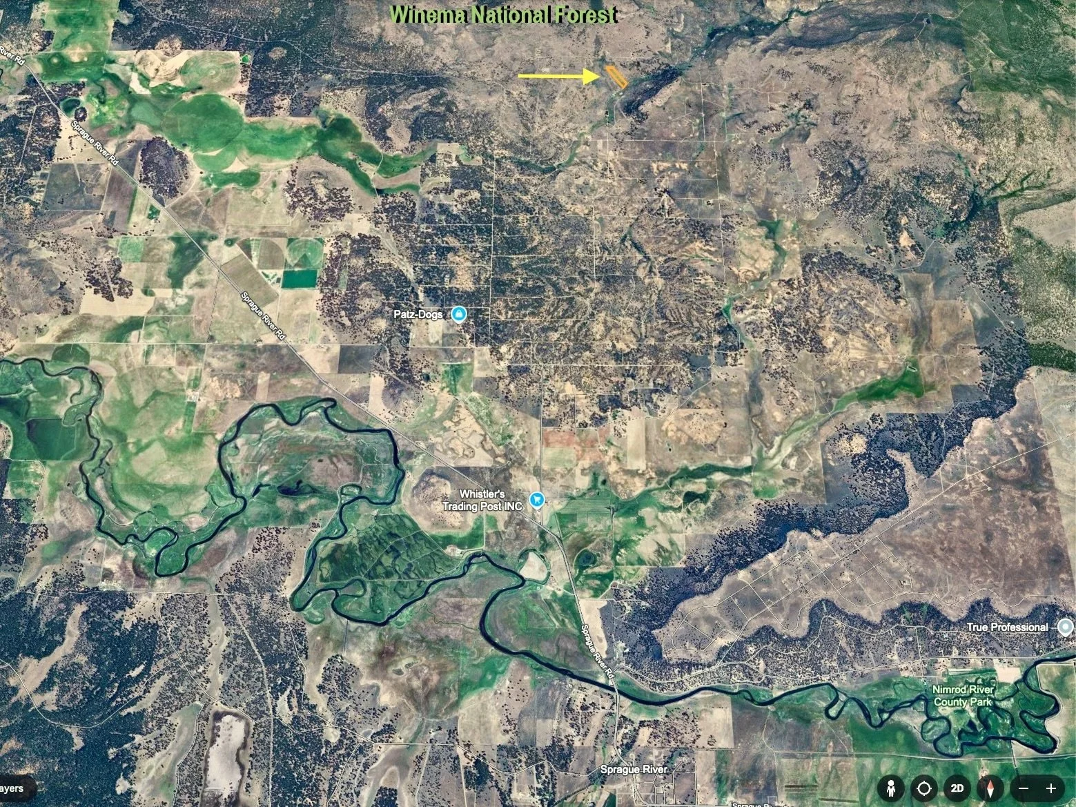 Screenshot 2025-03-05 at 9.51.58 AM.jpg