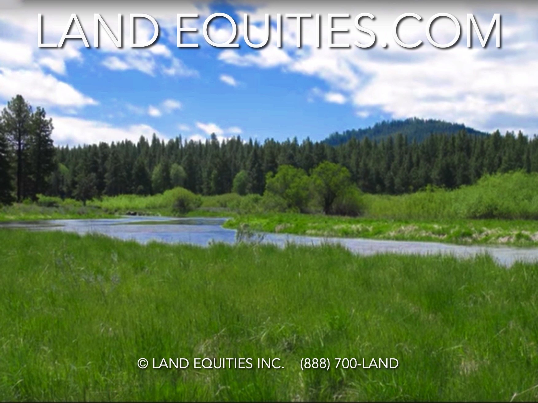 Screen Shot 2018-12-06 at 8.07.00 PM.jpg