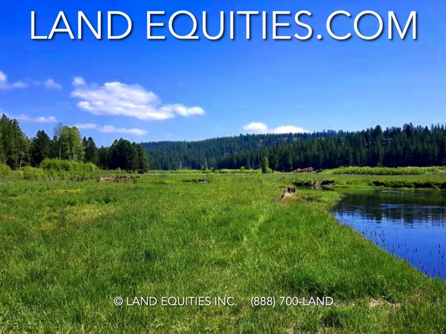 Screen Shot 2018-12-06 at 8.19.43 PM.jpg