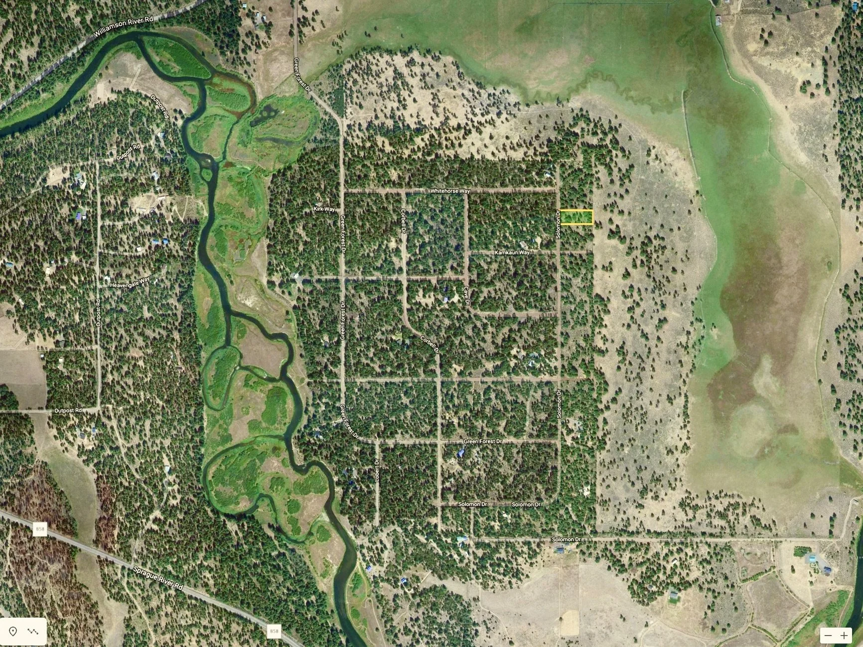 Screen Shot 2022-01-15 at 10.01.18 AM.jpg