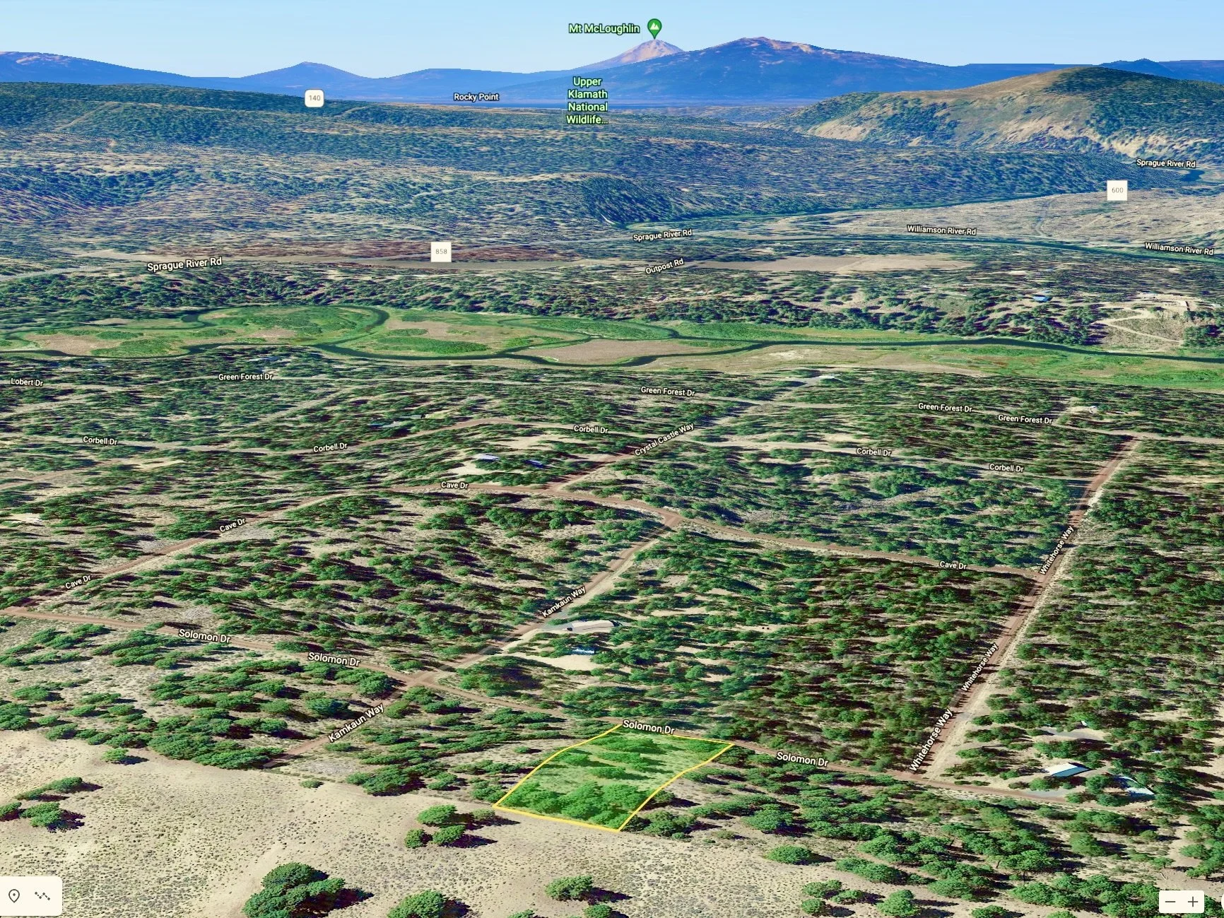 Screen Shot 2022-01-15 at 10.03.26 AM.jpg