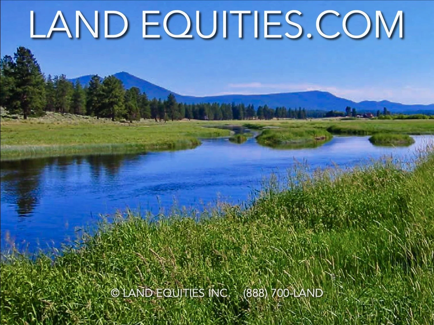 Screen Shot 2018-12-06 at 8.24.10 PM.jpg