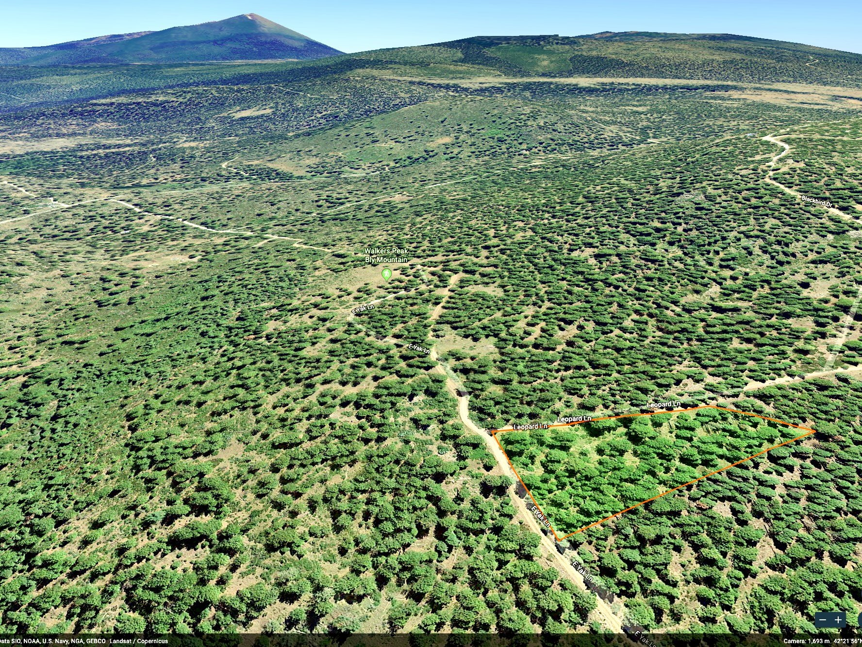 SCREEN SHOT 2019-11-16 AT 10.54.40 AM.jpeg