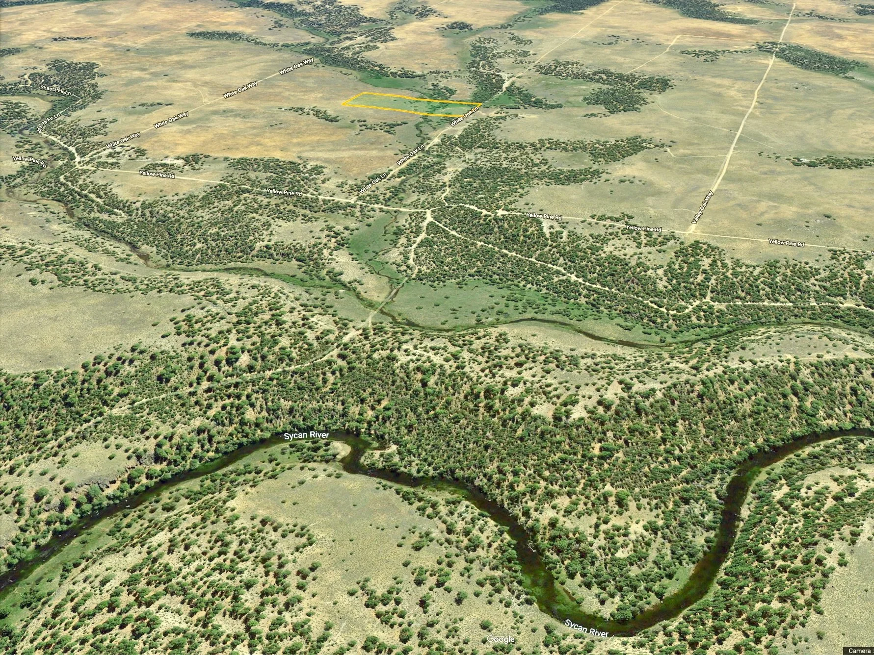 Screen Shot 2019-06-14 at 12.34.45 PM.jpeg