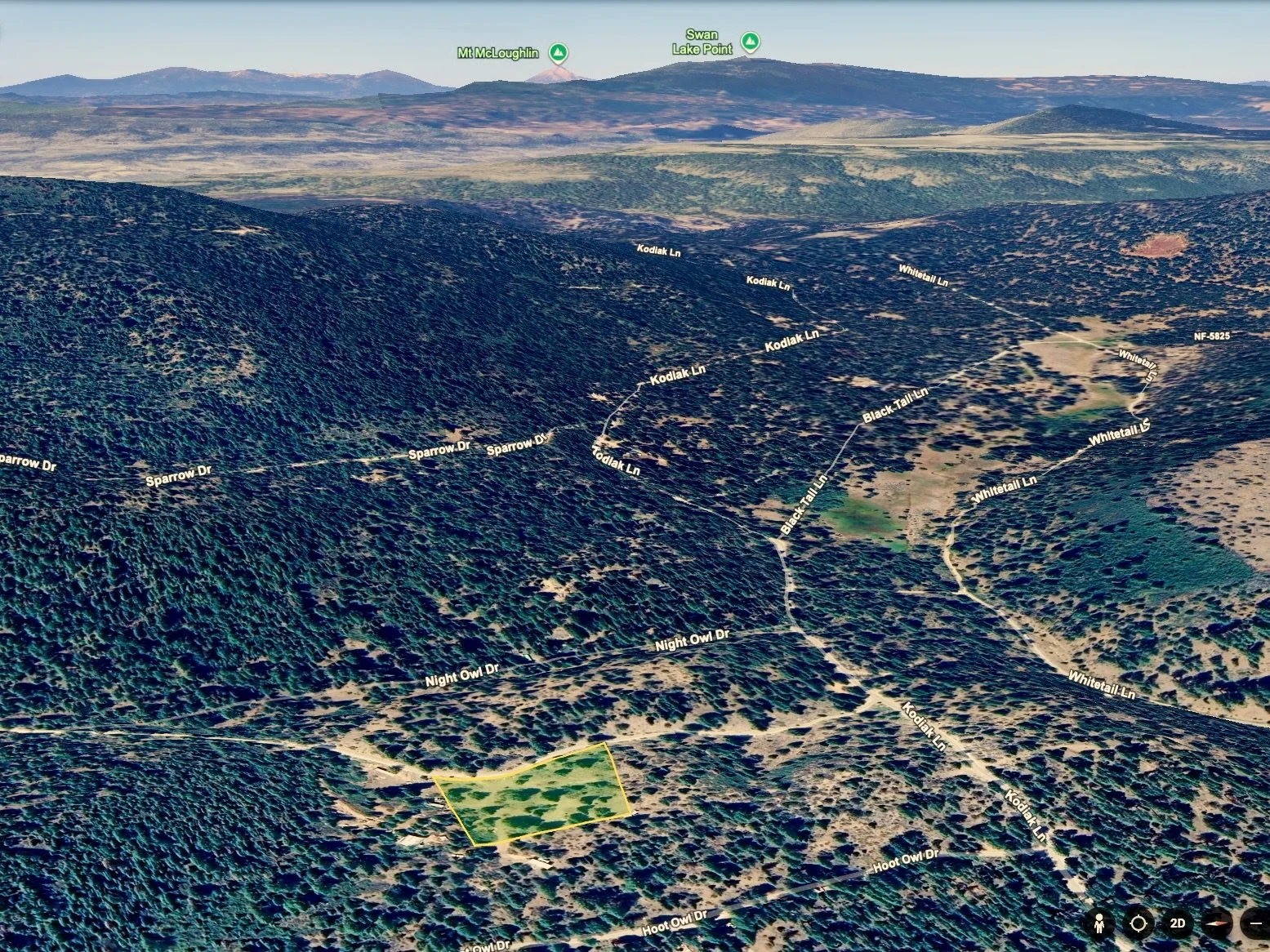 Screenshot 2026-02-28 at 8.20.49 PM.jpeg