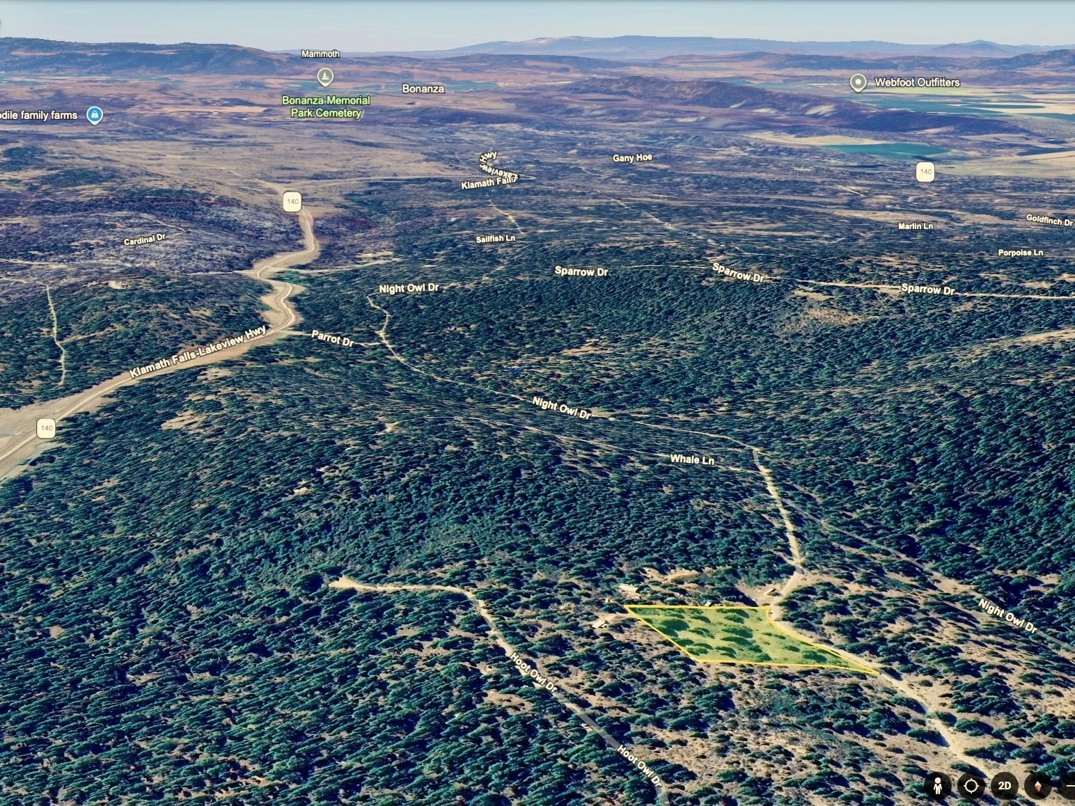 Screenshot 2026-02-28 at 8.21.27 PM.jpeg