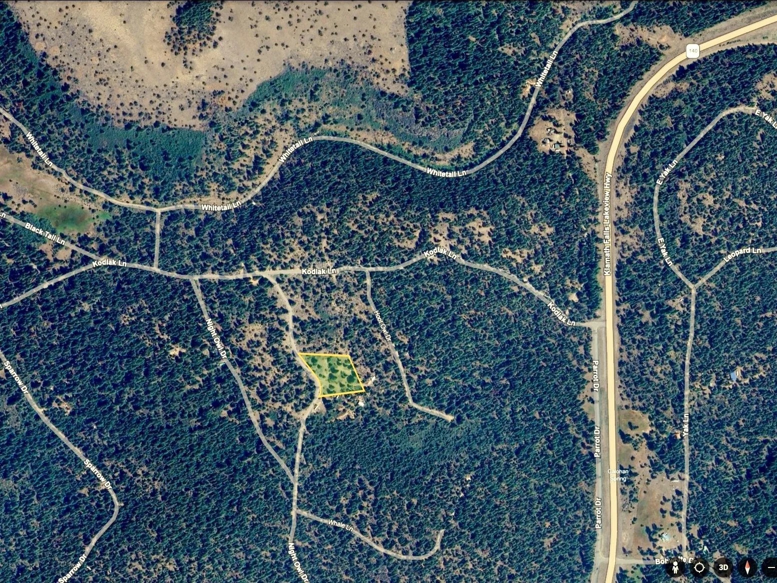 Screenshot 2026-02-28 at 8.19.05 PM.jpeg