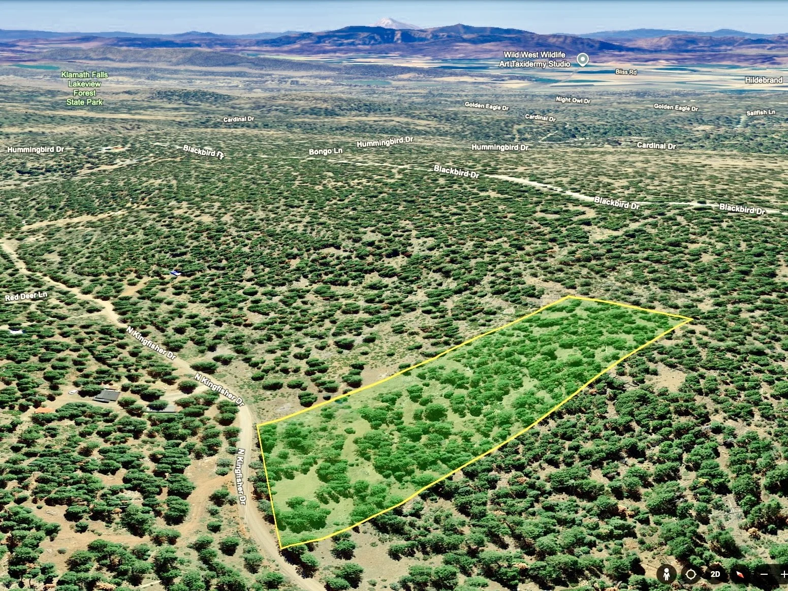 Screenshot 2026-03-05 at 11.58.42 AM.jpeg