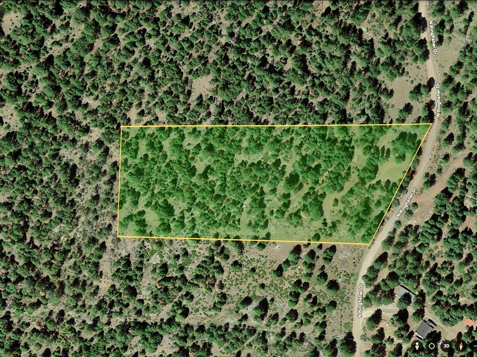 Screenshot 2026-03-05 at 11.49.52 AM.jpeg