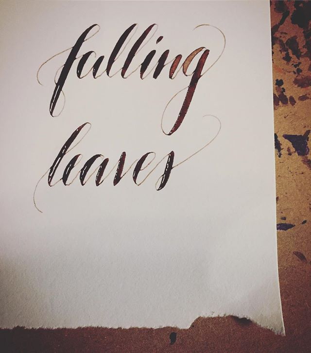 #leftycalligraphy #walnutink #brause511 #calligraphy #calligraphynewbie
