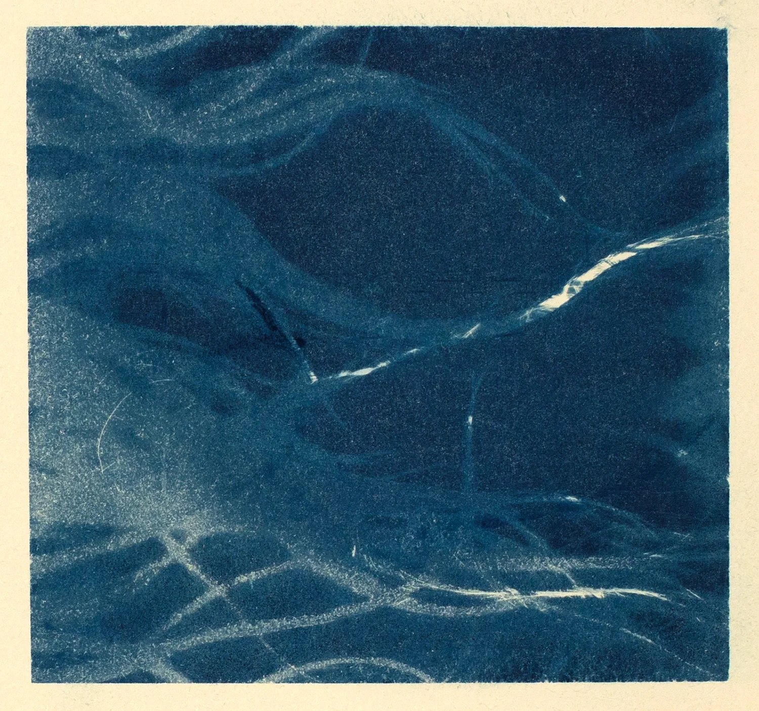 hair (study I), 2016, cyanotype, 32 x 24 cm